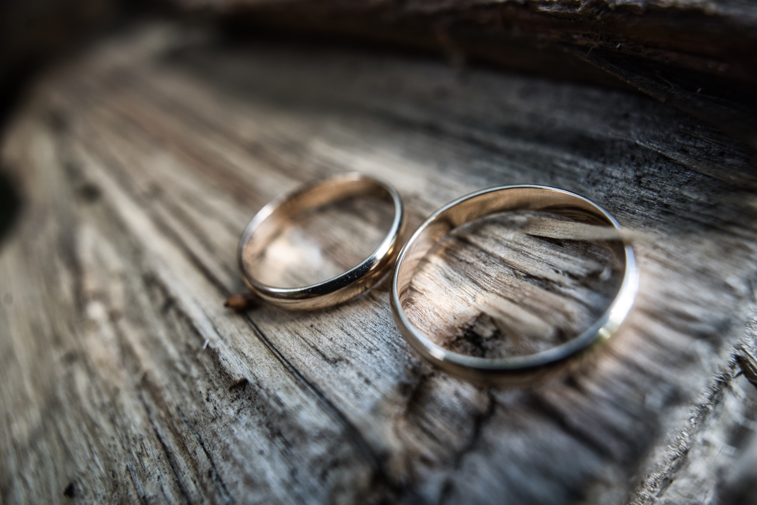 Свадебное фото. PROmedia