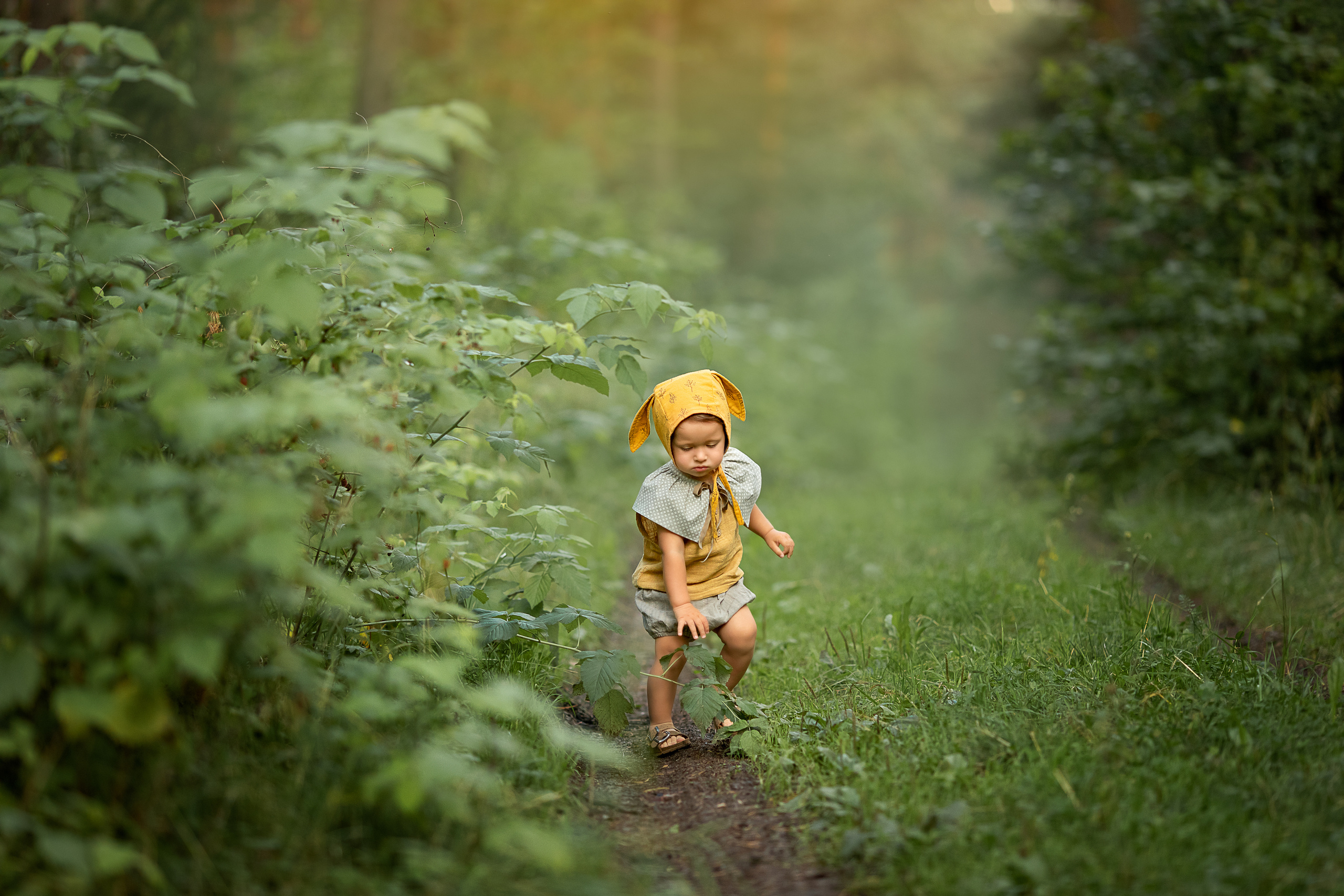 Лесной день рождения. Детский и семейный фотограф в Красноярске Елена Коровкина