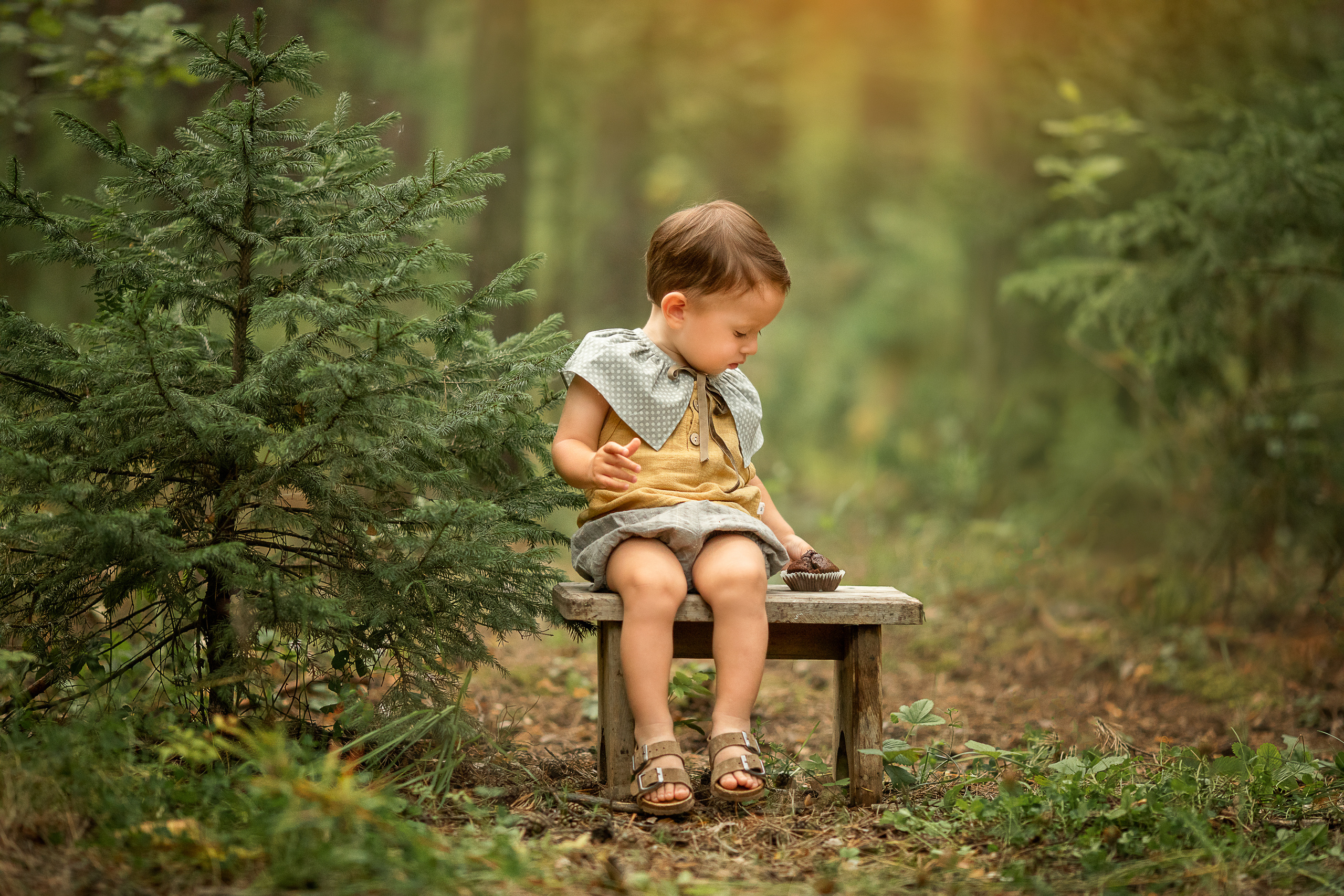 Лесной день рождения. Детский и семейный фотограф в Красноярске Елена Коровкина