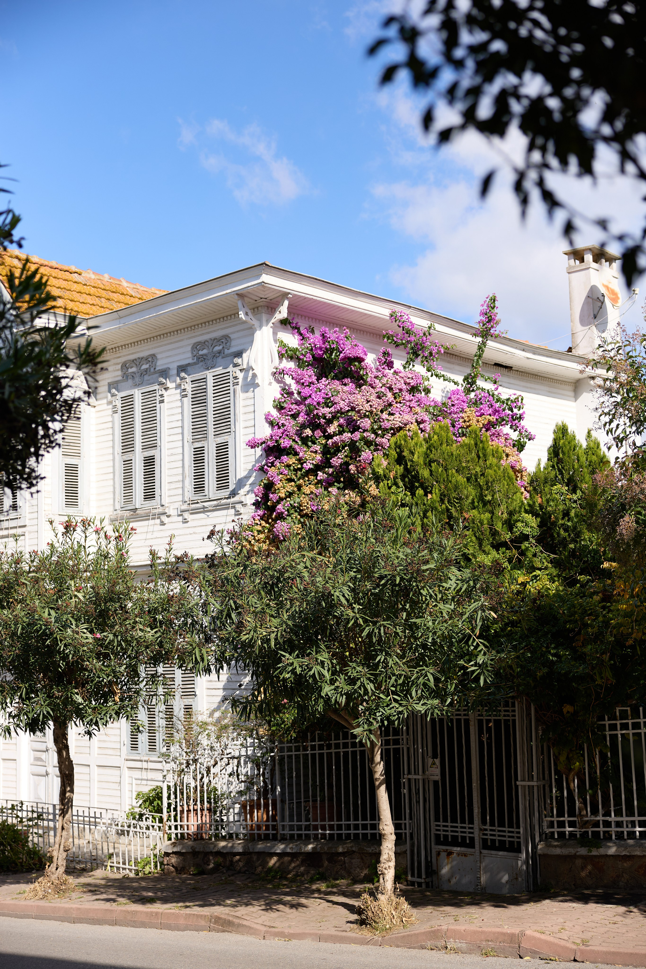 Стамбул 24. Фотограф Москва, Дима Пеллер