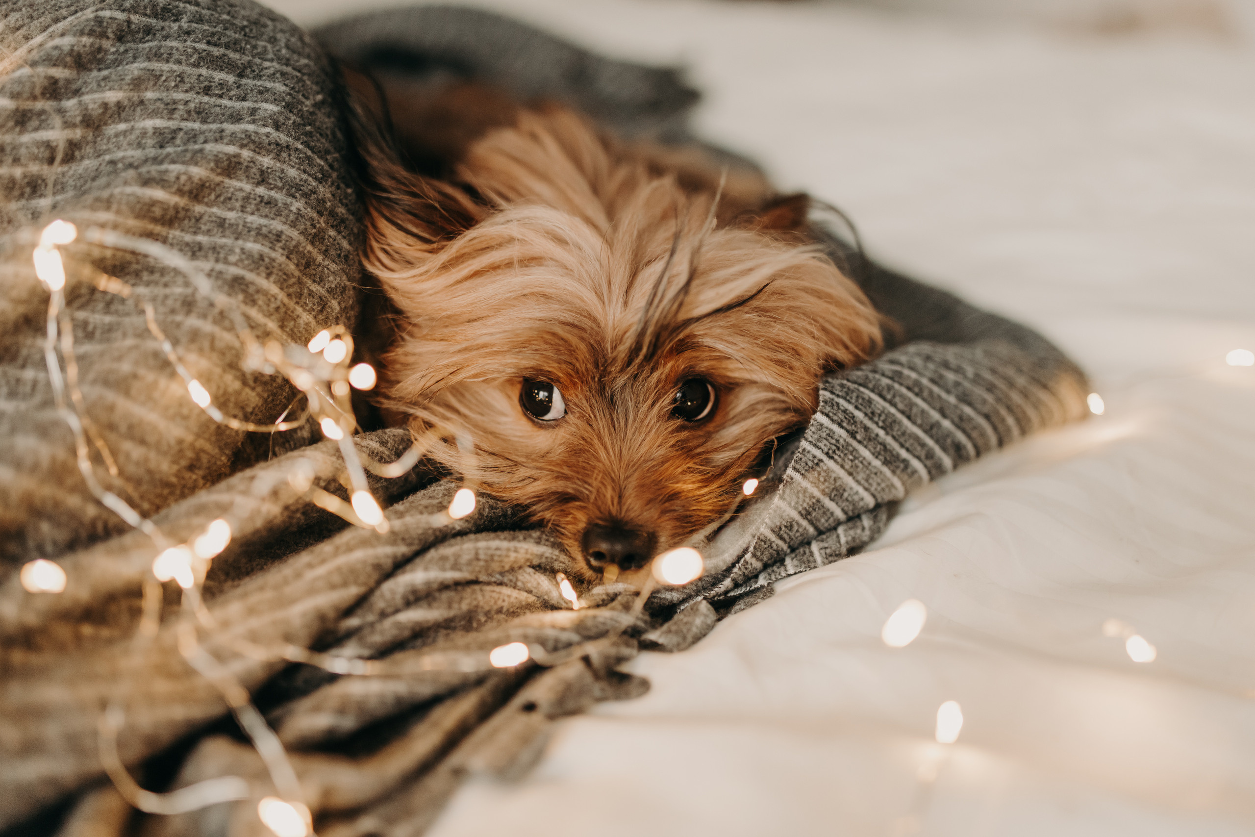 Настя и Юра. Фотограф Иваново Ольга Исакова