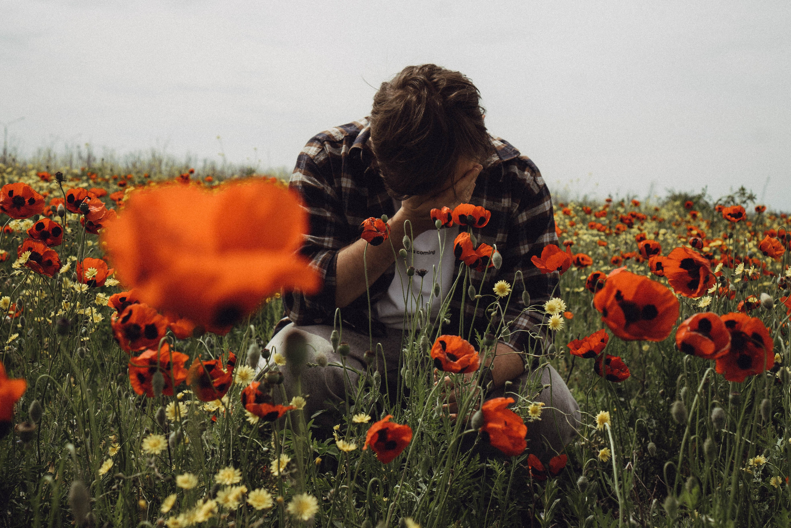 Маки. Профессиональный фотограф, Санкт-Петербург — Виктория Богомолова