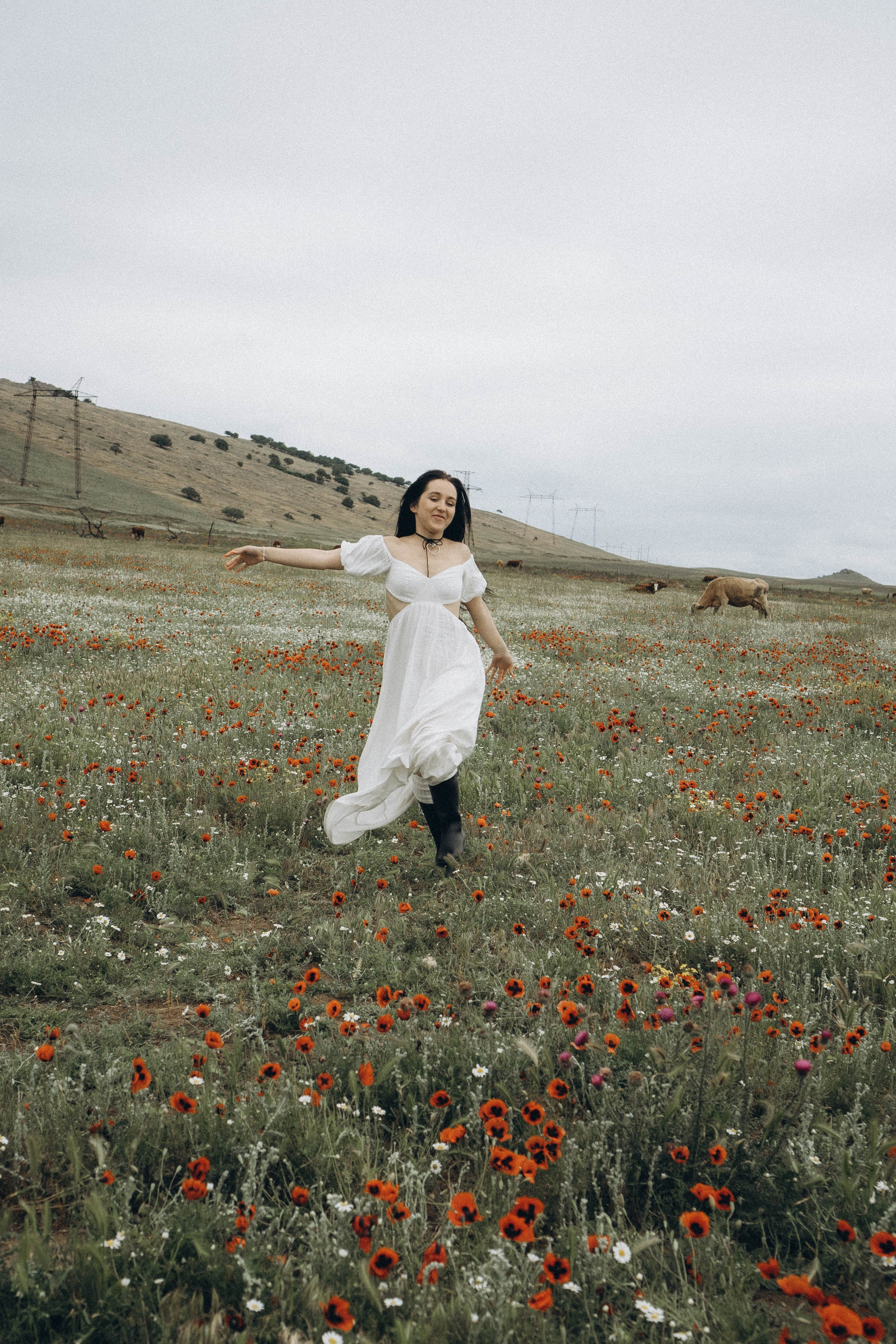 Маковое поле. Профессиональный фотограф, Санкт-Петербург — Виктория Богомолова