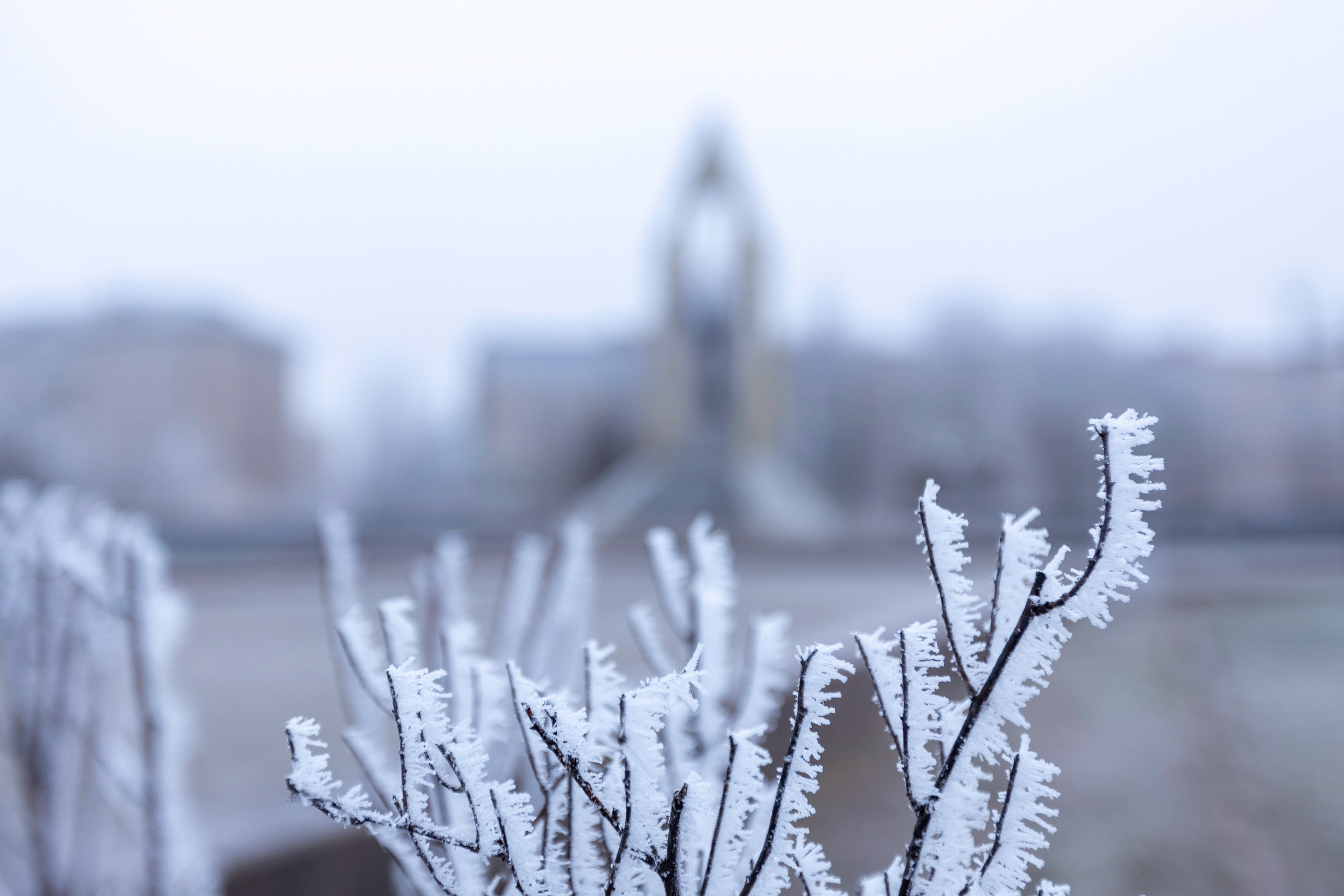 Иней — Менделеевский. Мемориалы Героям Великой Отечественной Войны. Фотограф в Туле Крупский АнДРей. Фотостудия «КАДР71» в Туле
