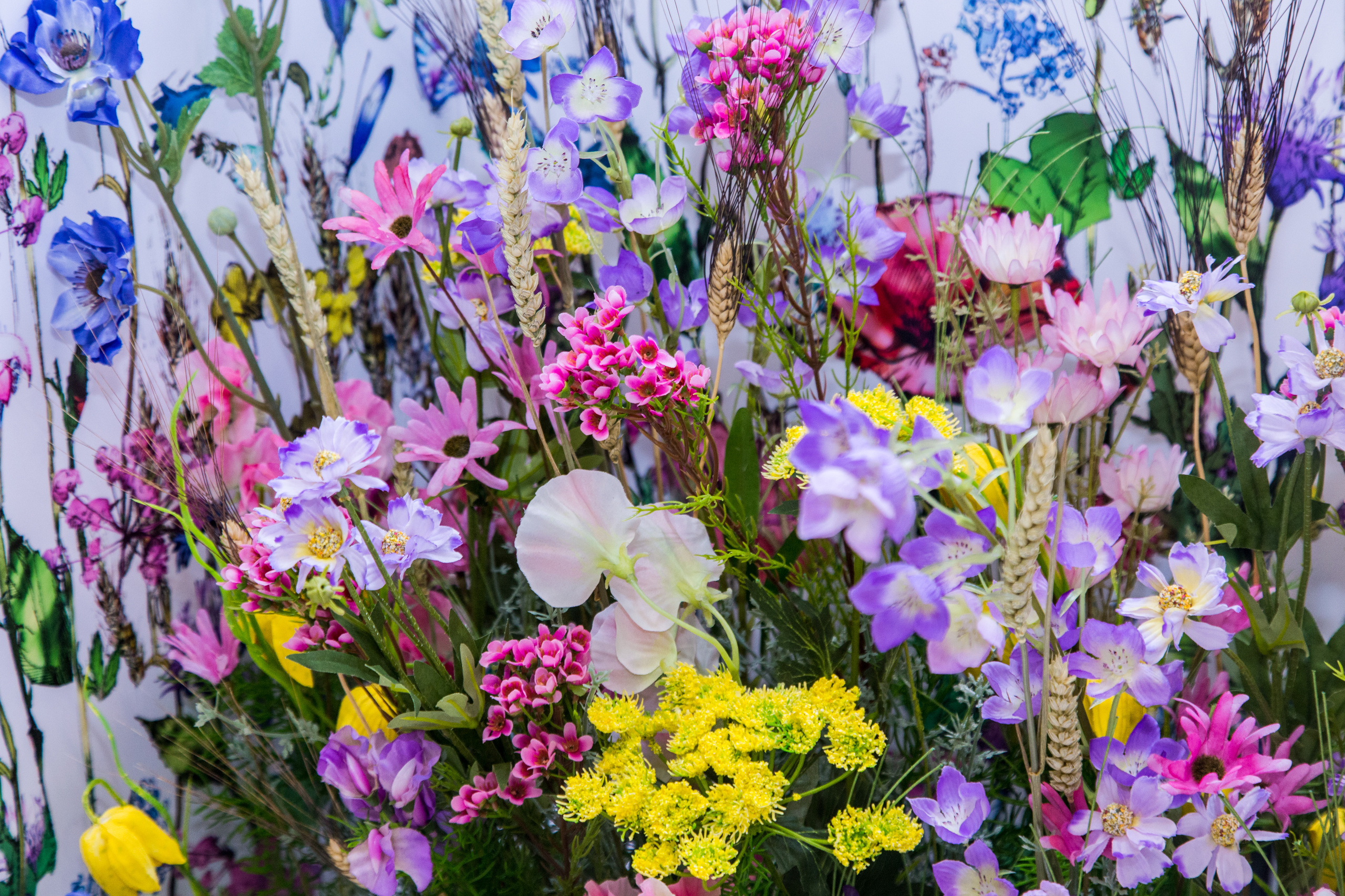 Dior. Виктория Еремина — фотограф и видеограф в Москве