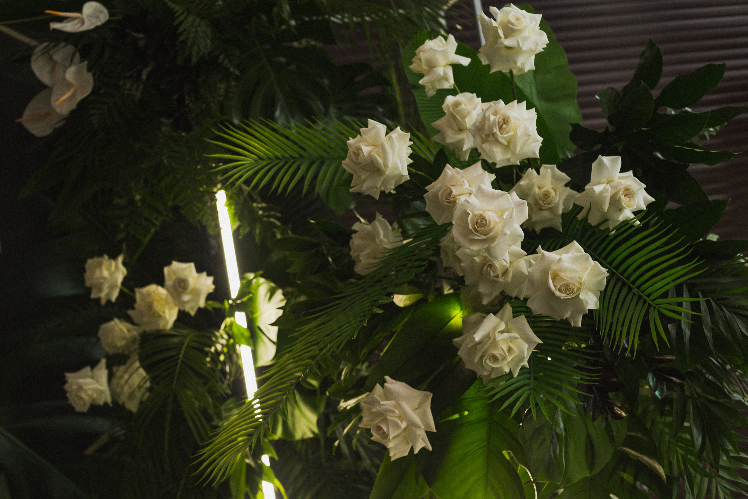 Декор свадьбы. Виктория Еремина — фотограф и видеограф в Москве