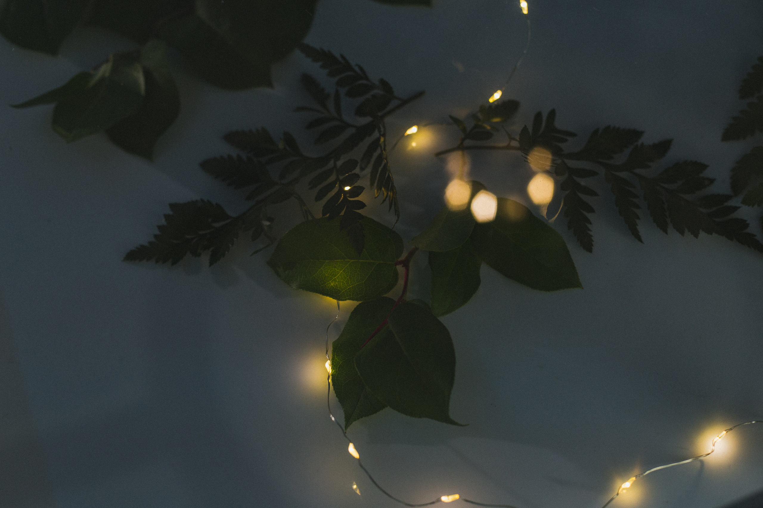 Декор свадьбы. Виктория Еремина — фотограф и видеограф в Москве