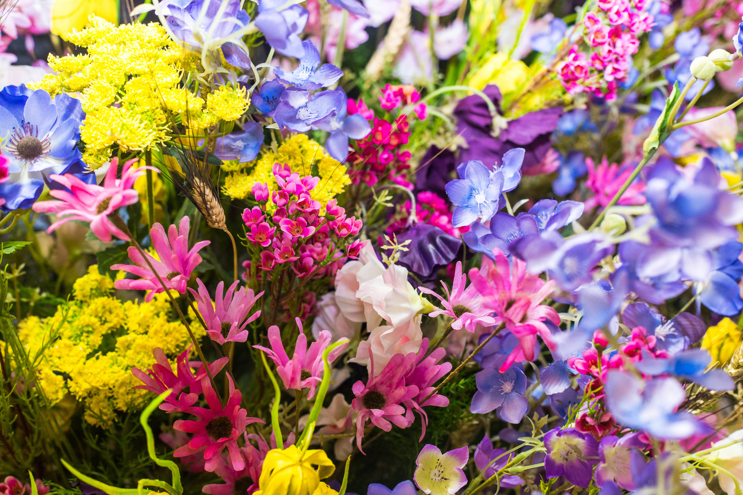 Dior. Виктория Еремина — фотограф и видеограф в Москве