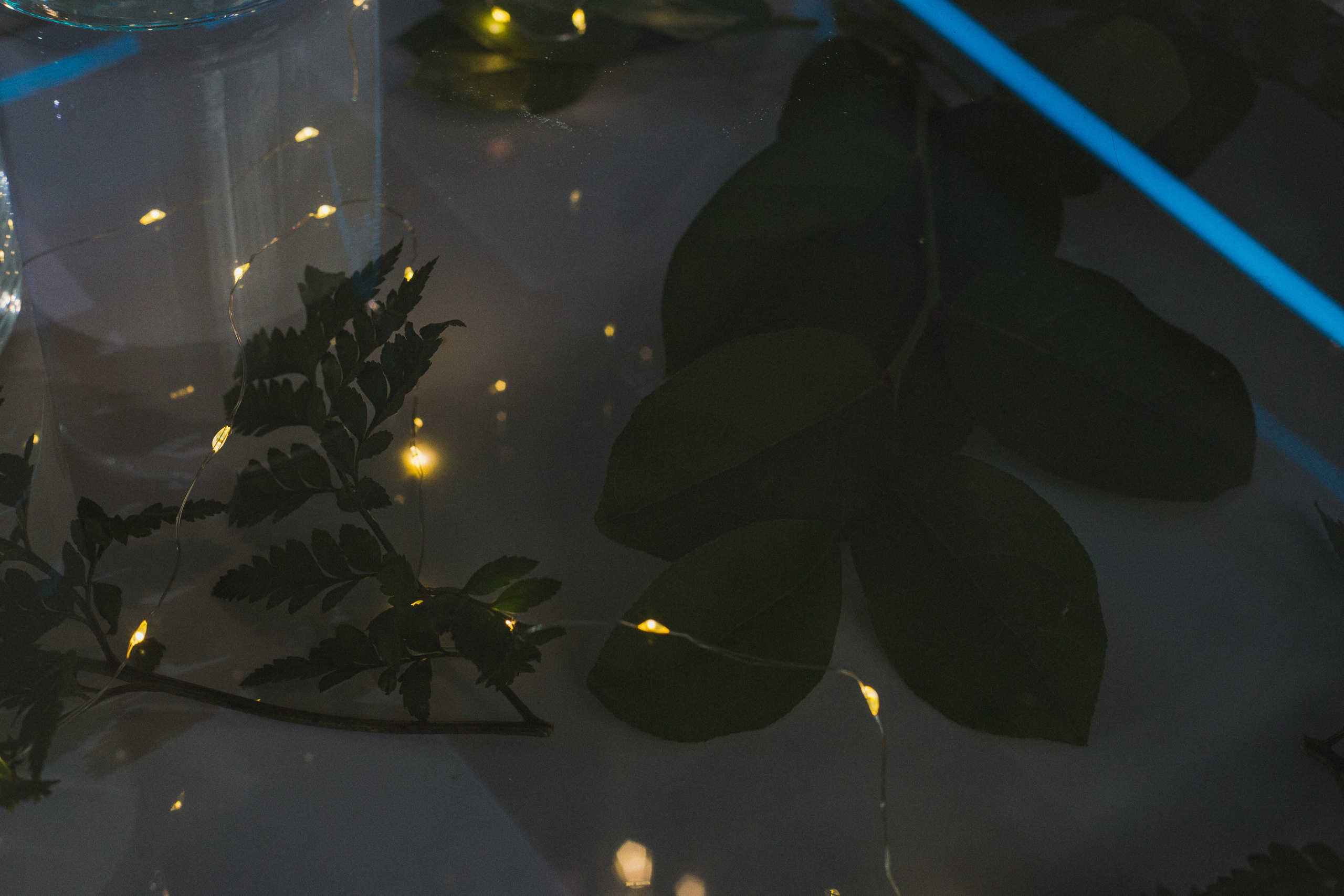 Декор свадьбы. Виктория Еремина — фотограф и видеограф в Москве