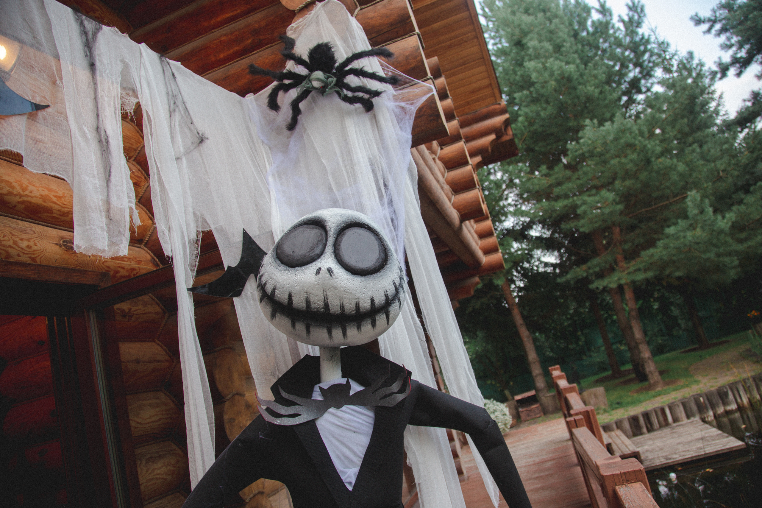 День рождения Ариэль. Виктория Еремина — фотограф и видеограф в Москве