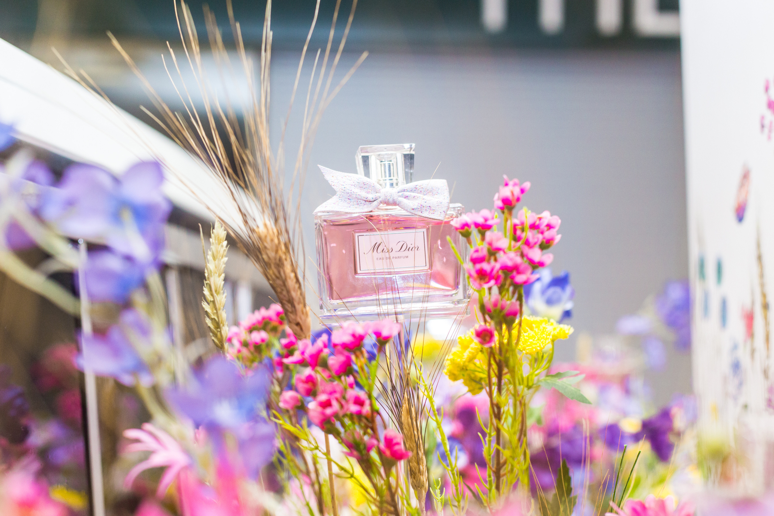 Dior. Виктория Еремина — фотограф и видеограф в Москве