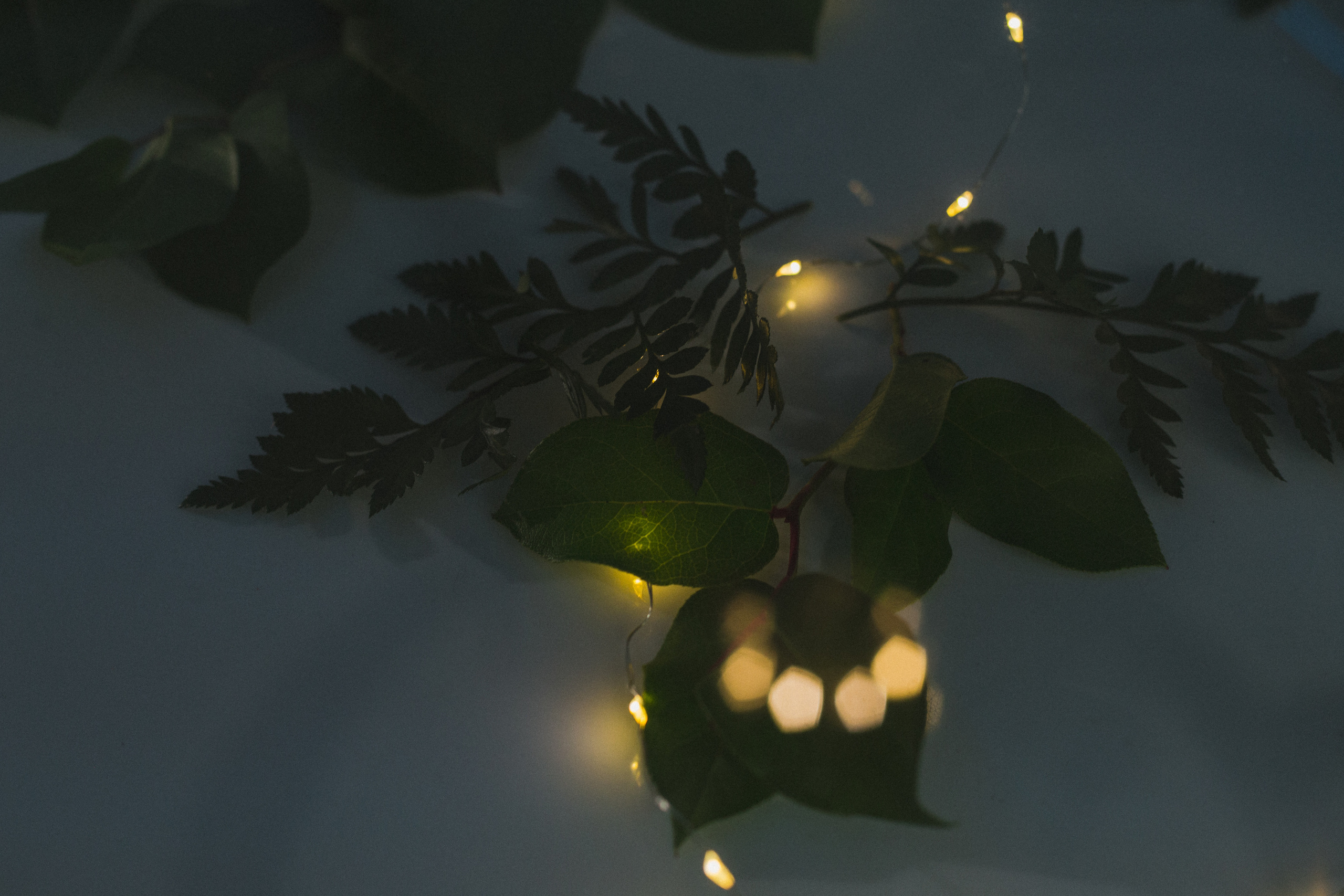 Декор свадьбы. Виктория Еремина — фотограф и видеограф в Москве