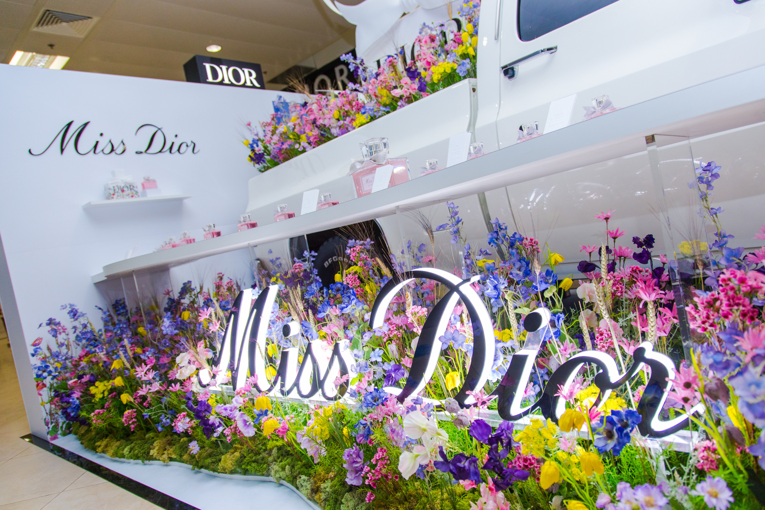 Dior. Виктория Еремина — фотограф и видеограф в Москве