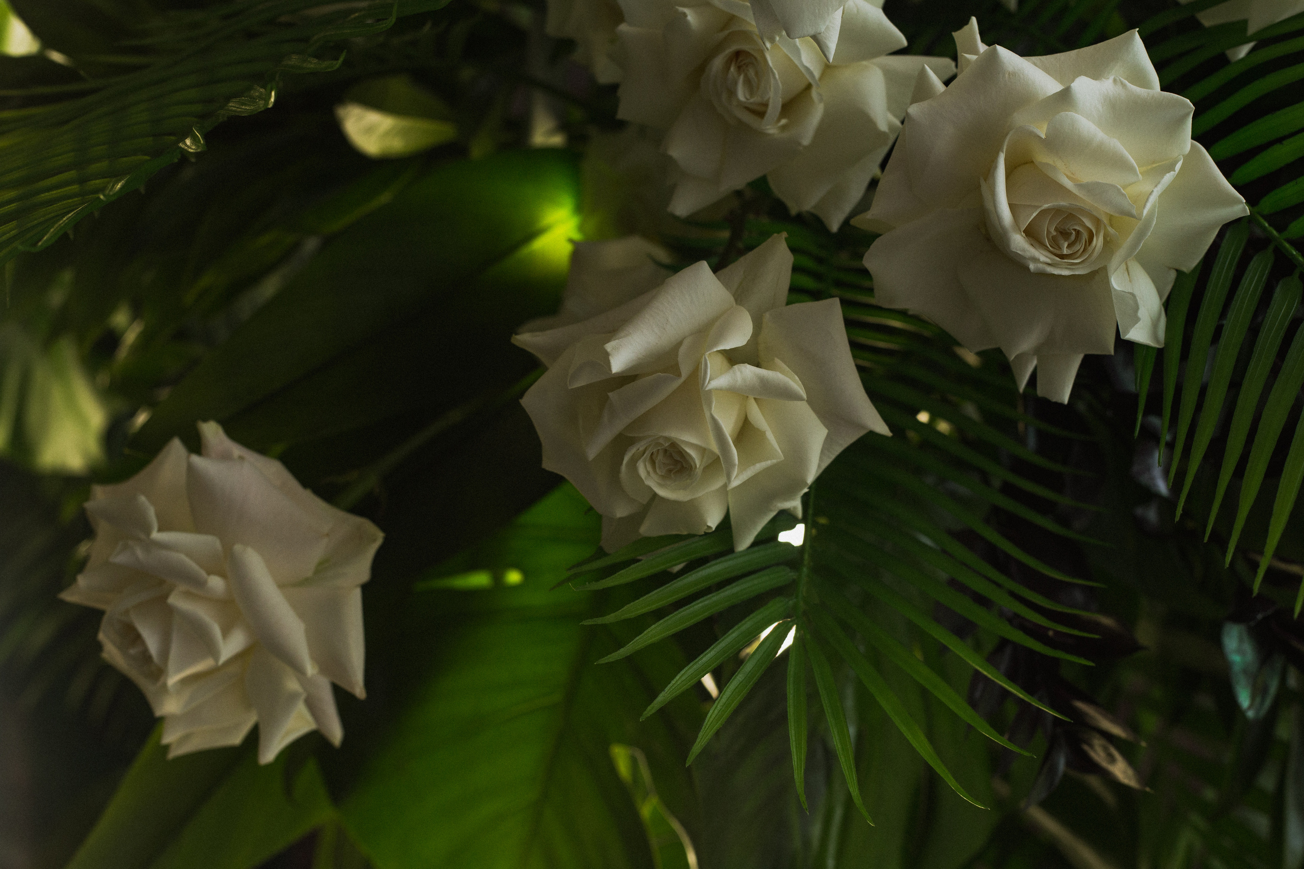 Декор свадьбы. Виктория Еремина — фотограф и видеограф в Москве