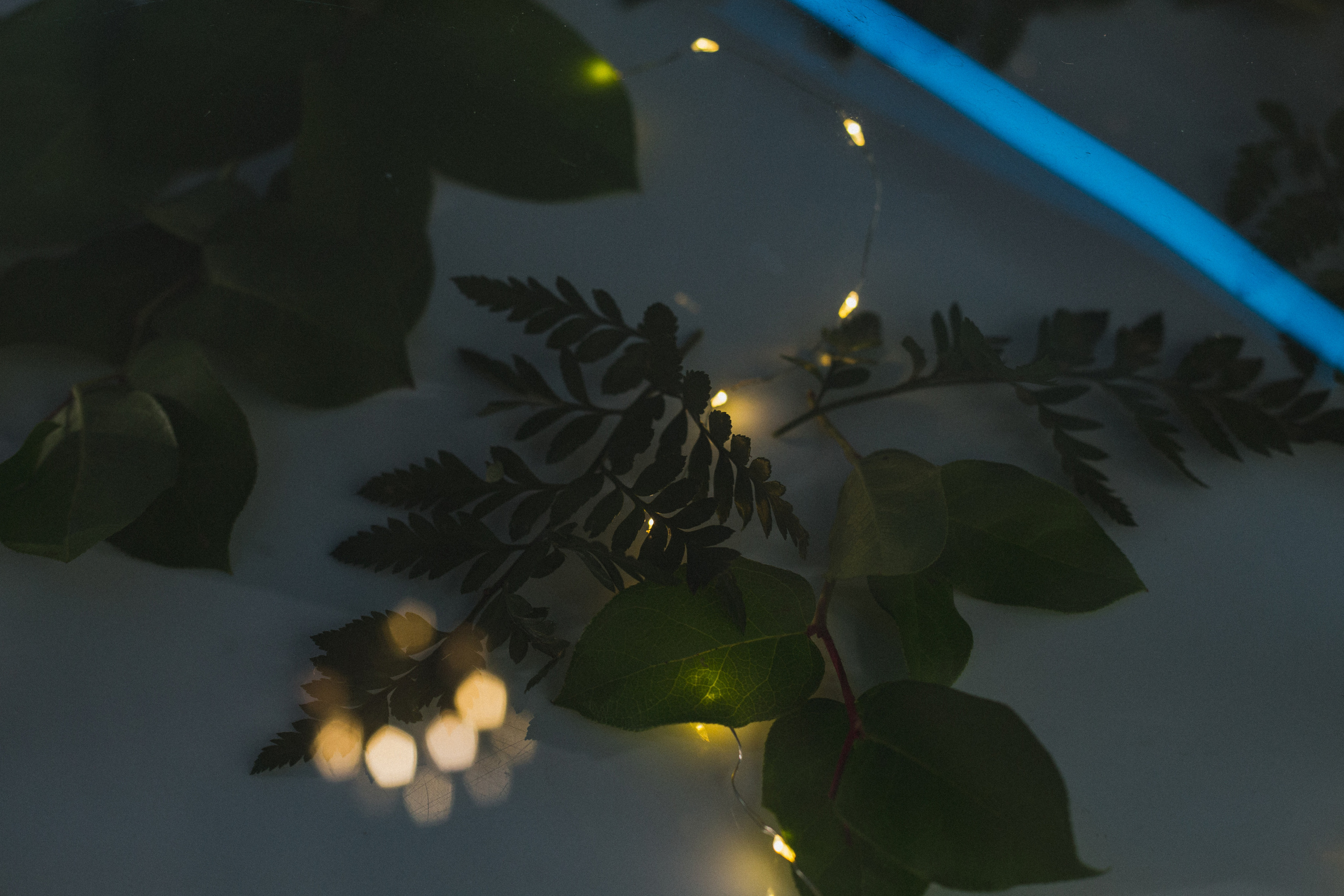 Декор свадьбы. Виктория Еремина — фотограф и видеограф в Москве