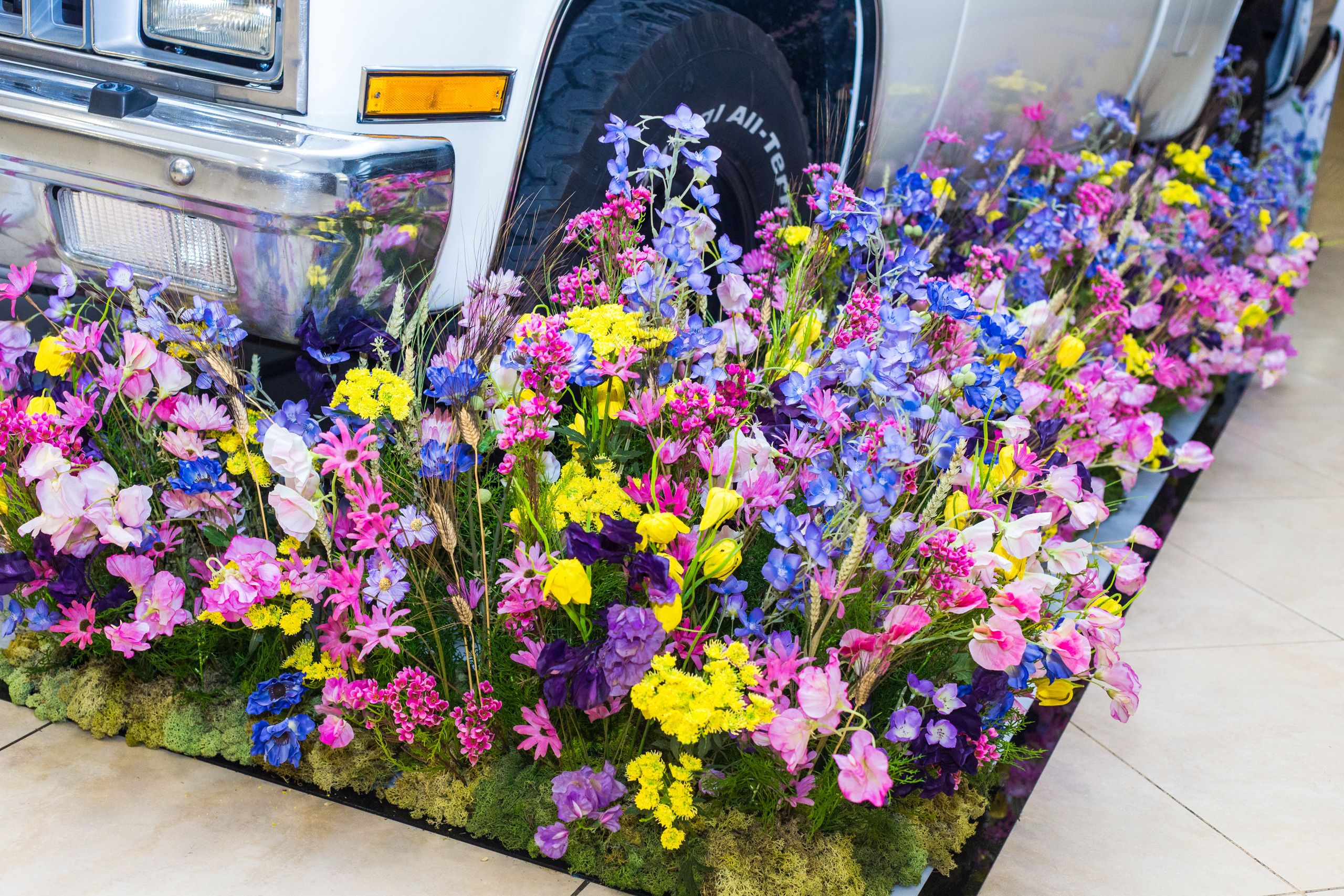 Dior. Виктория Еремина — фотограф и видеограф в Москве