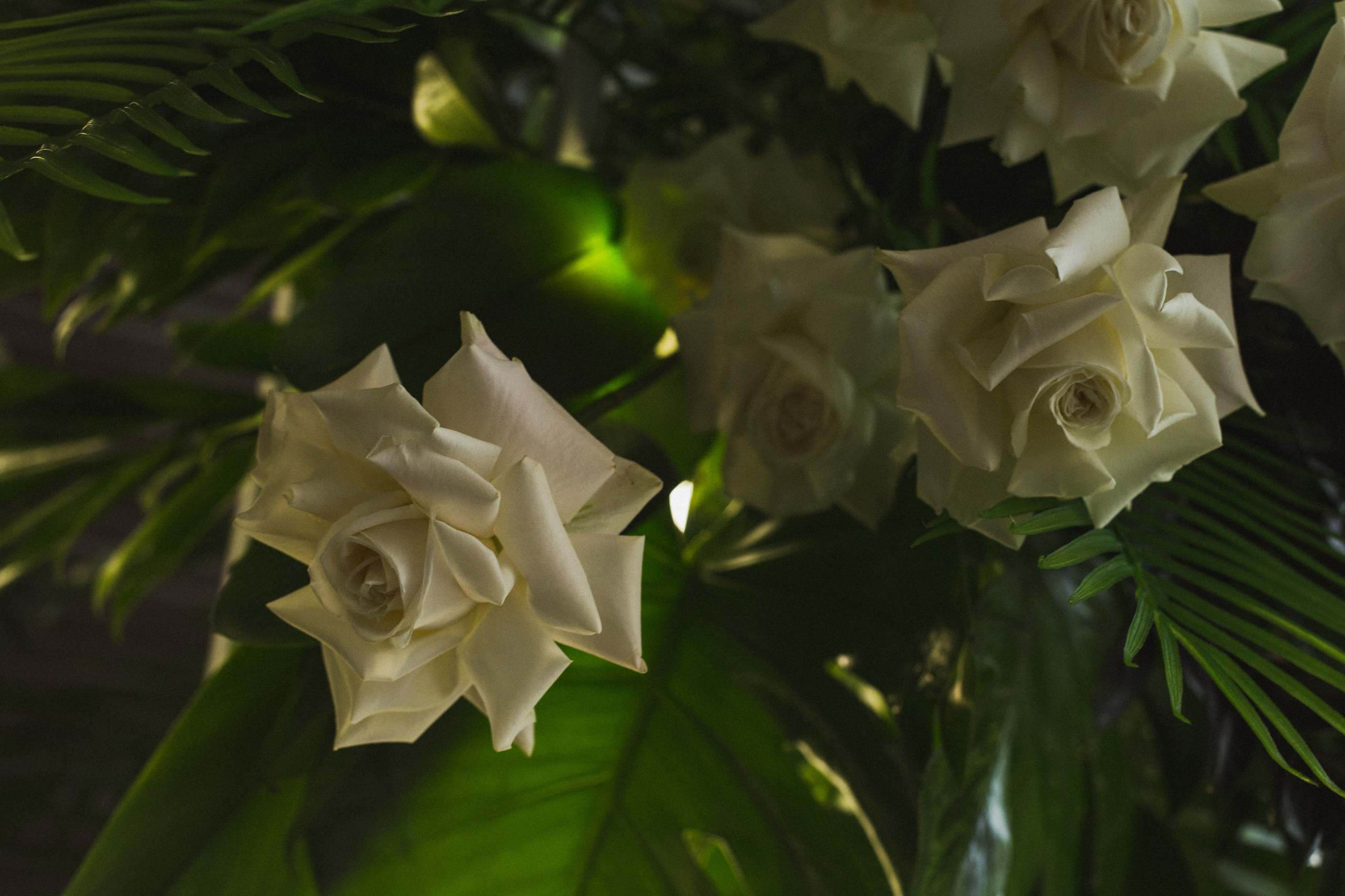 Декор свадьбы. Виктория Еремина — фотограф и видеограф в Москве