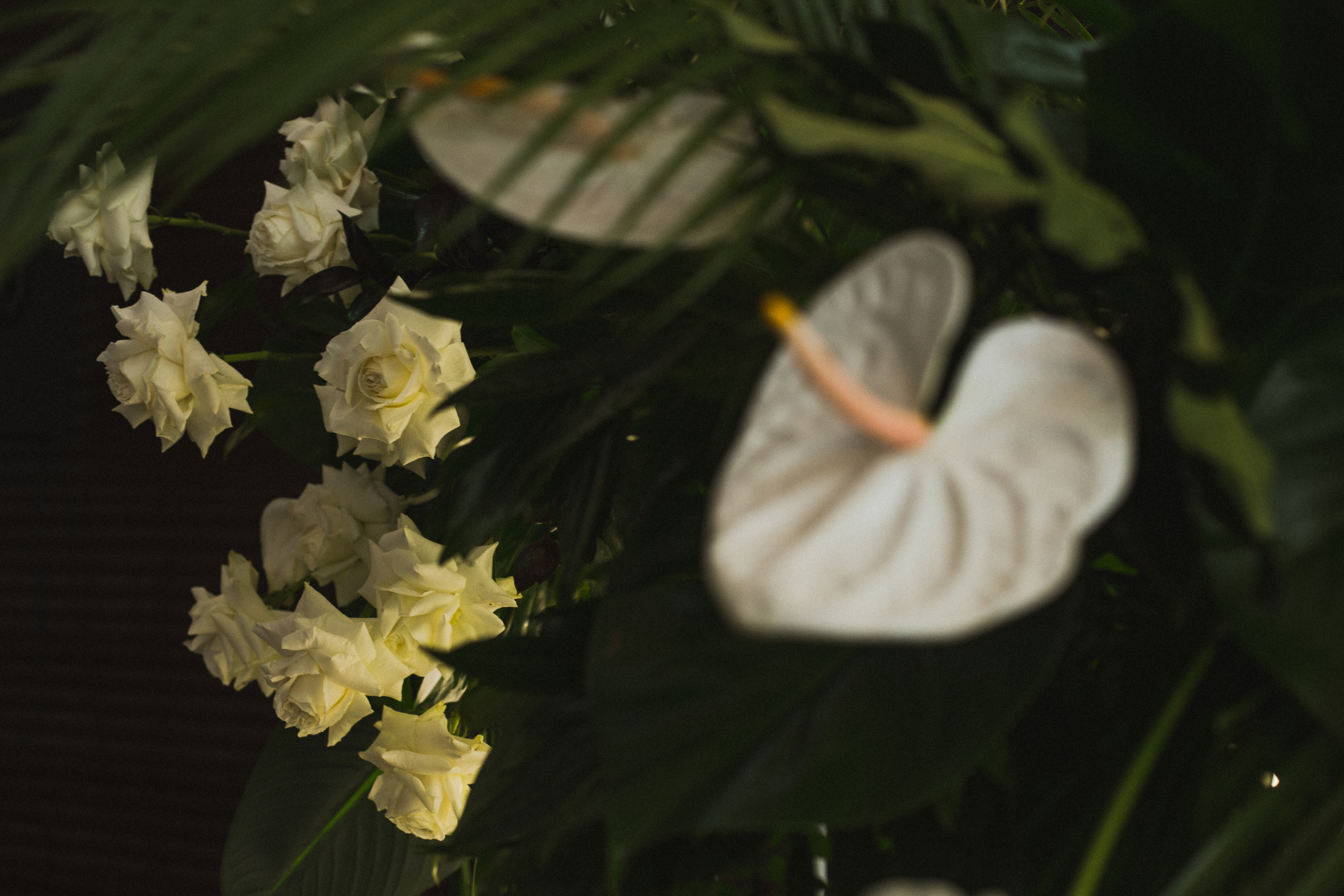 Декор свадьбы. Виктория Еремина — фотограф и видеограф в Москве