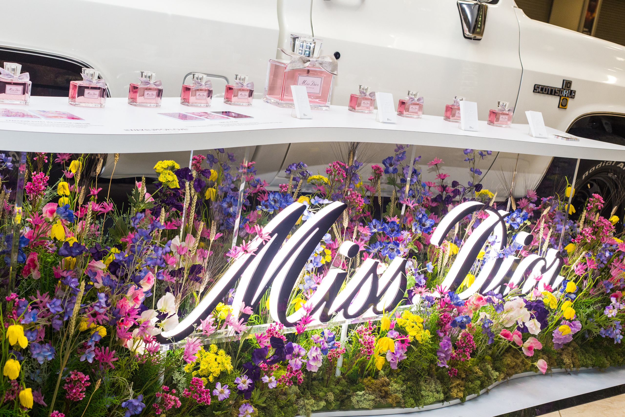 Dior. Виктория Еремина — фотограф и видеограф в Москве