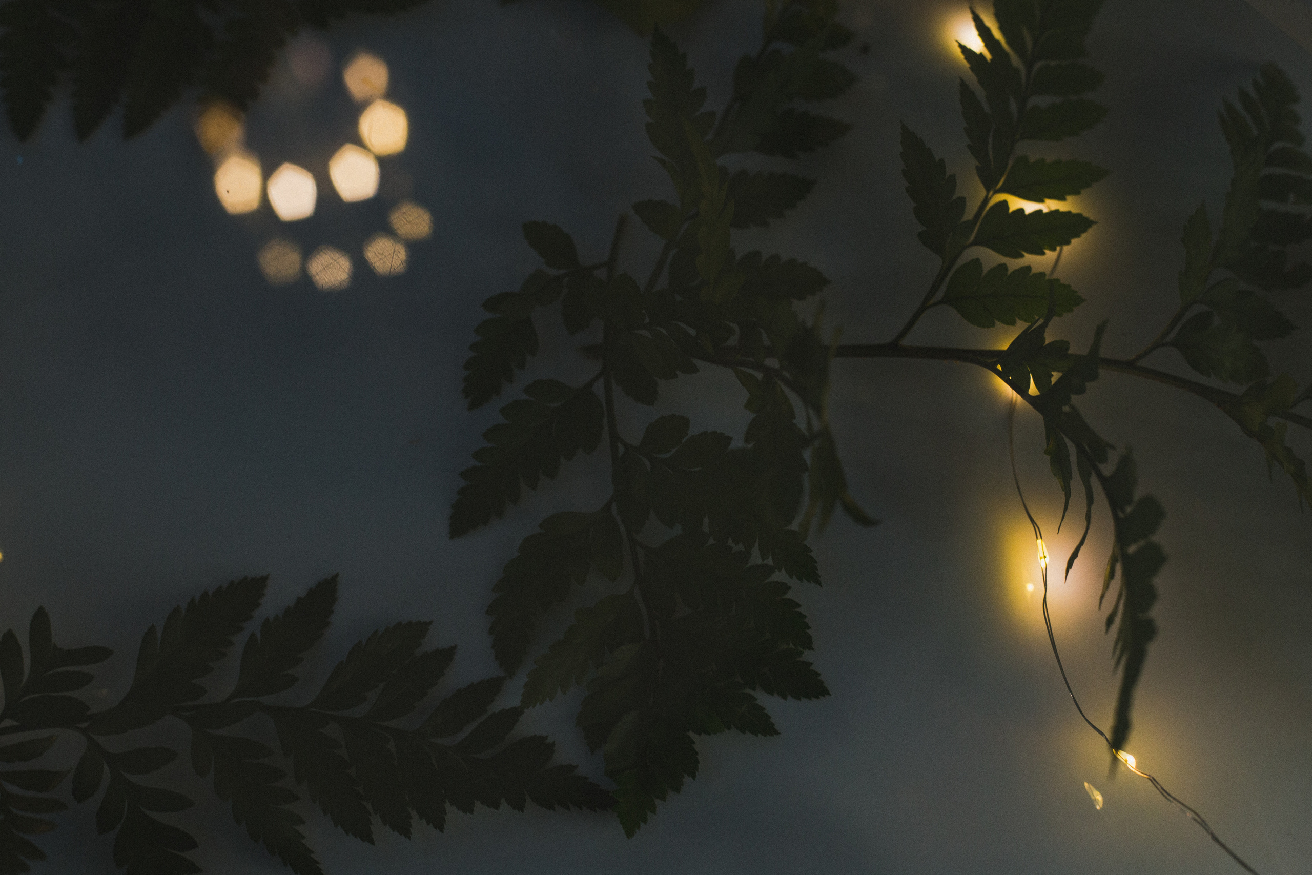 Декор свадьбы. Виктория Еремина — фотограф и видеограф в Москве