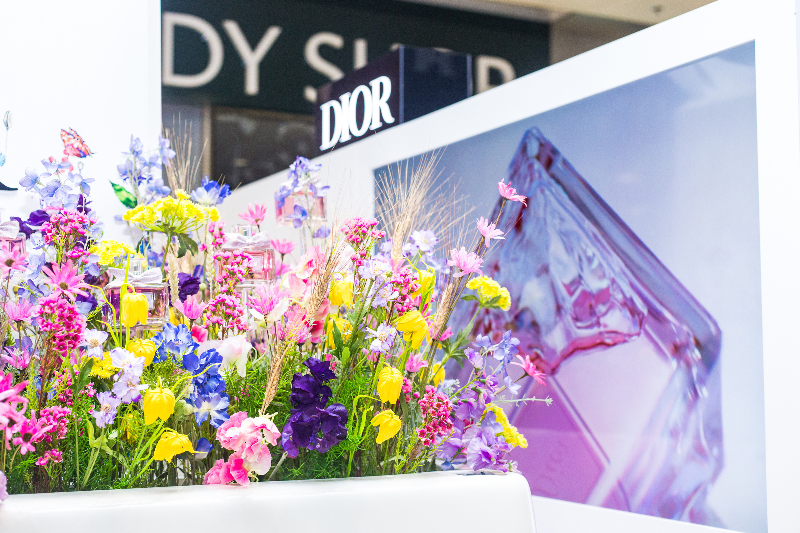 Dior. Виктория Еремина — фотограф и видеограф в Москве