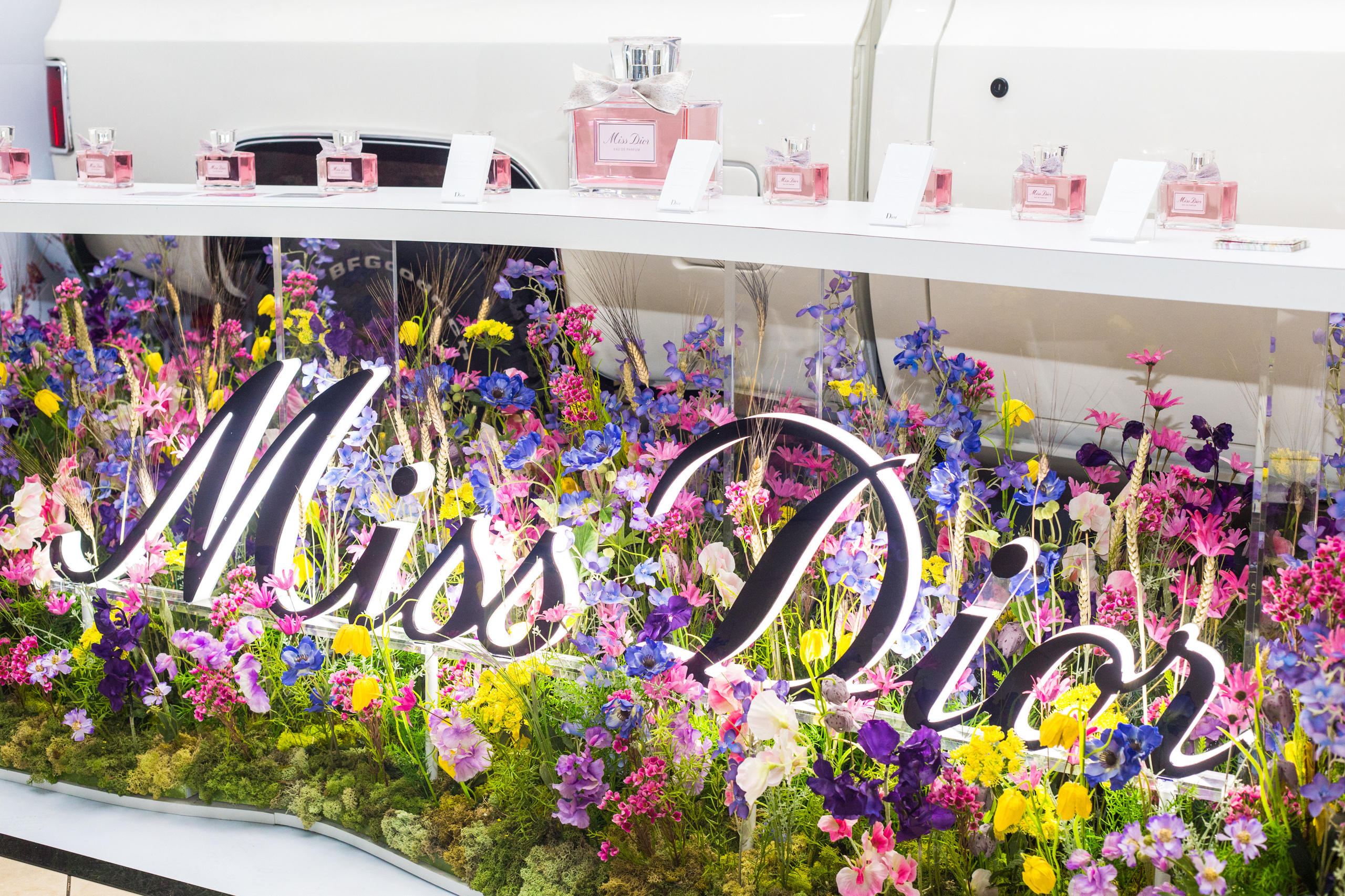 Dior. Виктория Еремина — фотограф и видеограф в Москве