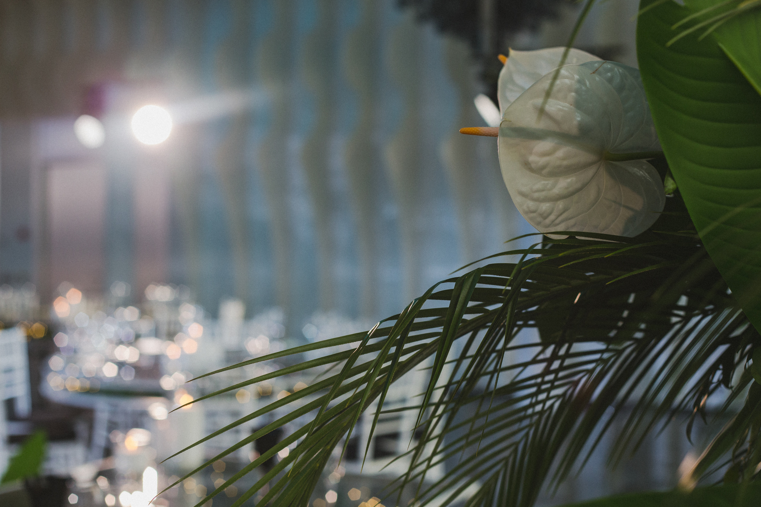 Декор свадьбы. Виктория Еремина — фотограф и видеограф в Москве