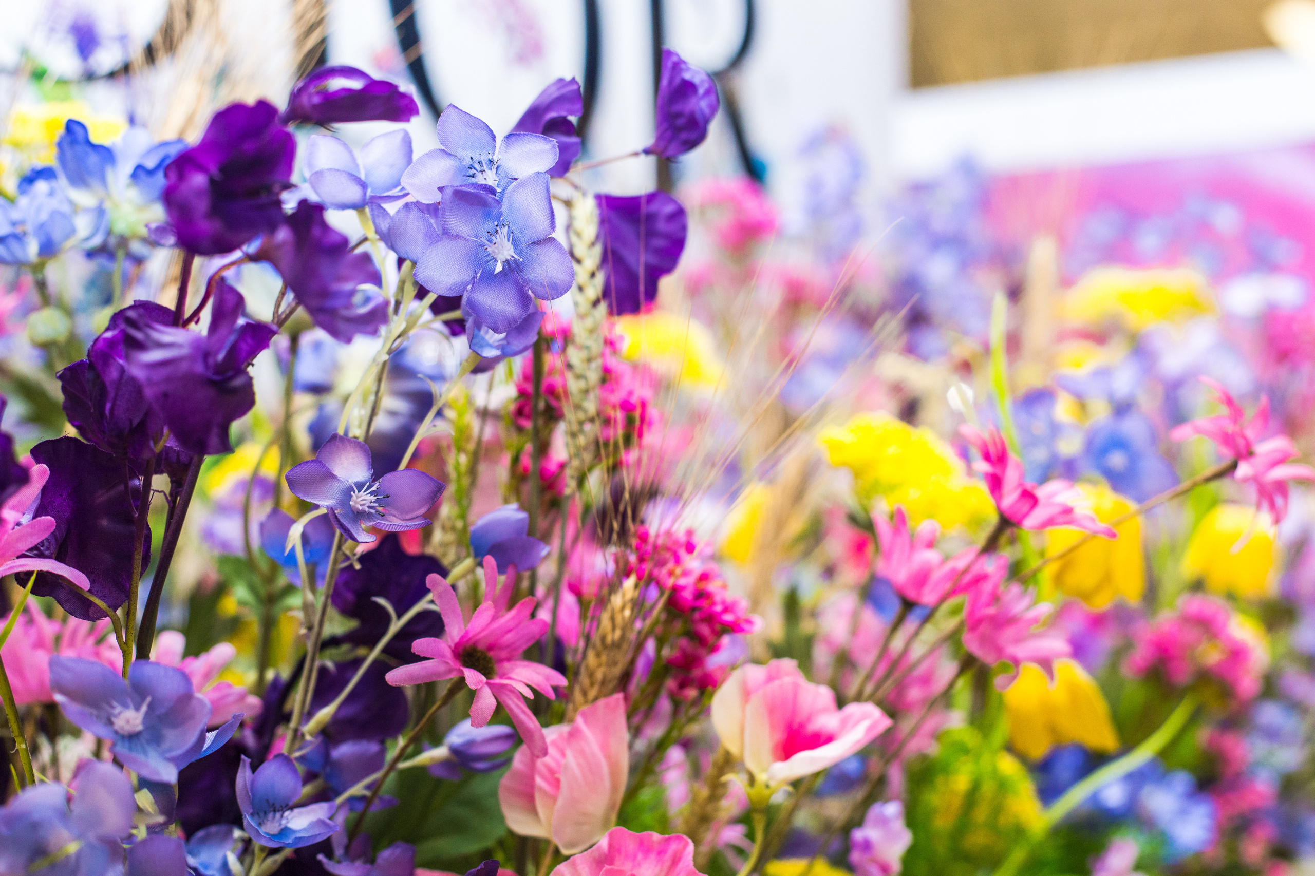 Dior. Виктория Еремина — фотограф и видеограф в Москве