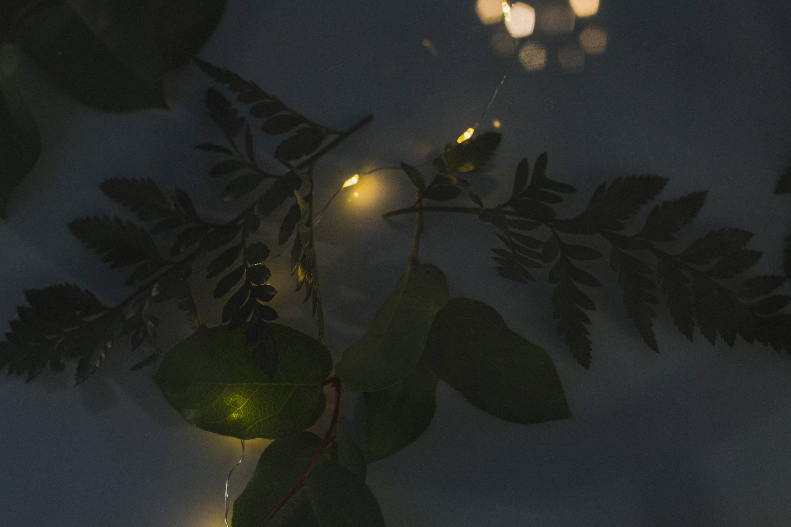 Декор свадьбы. Виктория Еремина — фотограф и видеограф в Москве