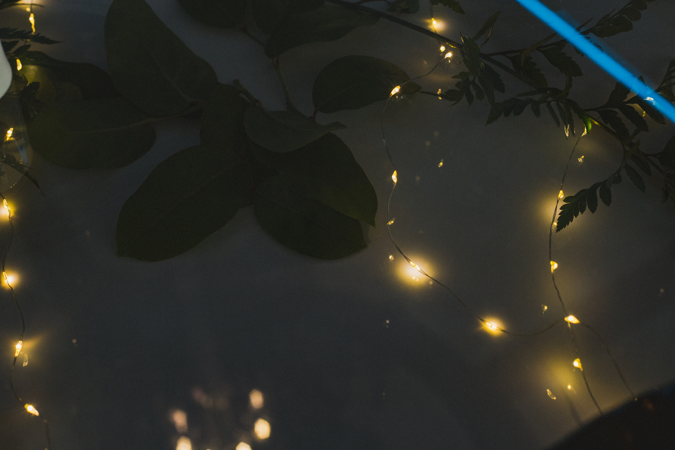 Декор свадьбы. Виктория Еремина — фотограф и видеограф в Москве