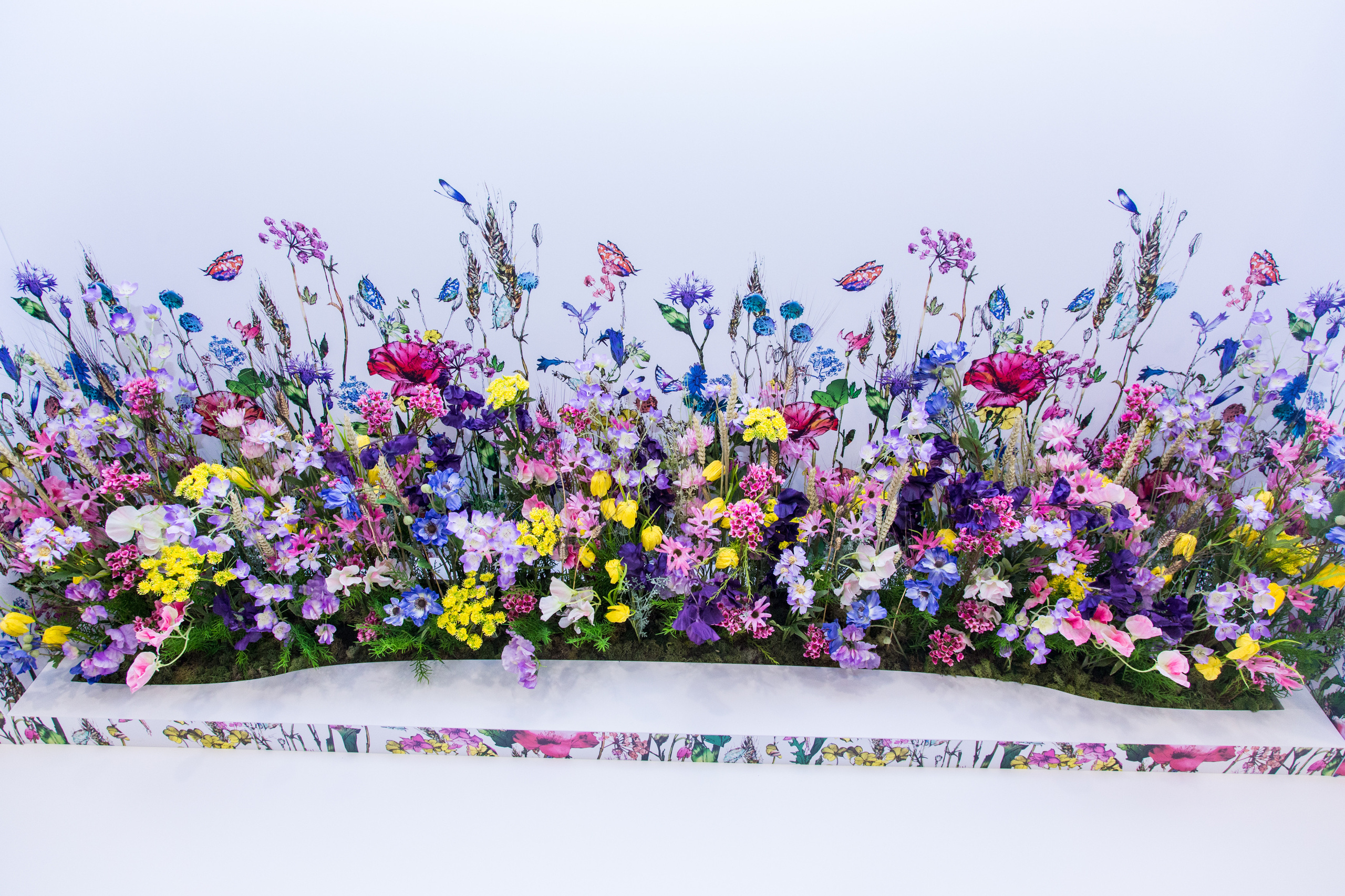 Dior. Виктория Еремина — фотограф и видеограф в Москве