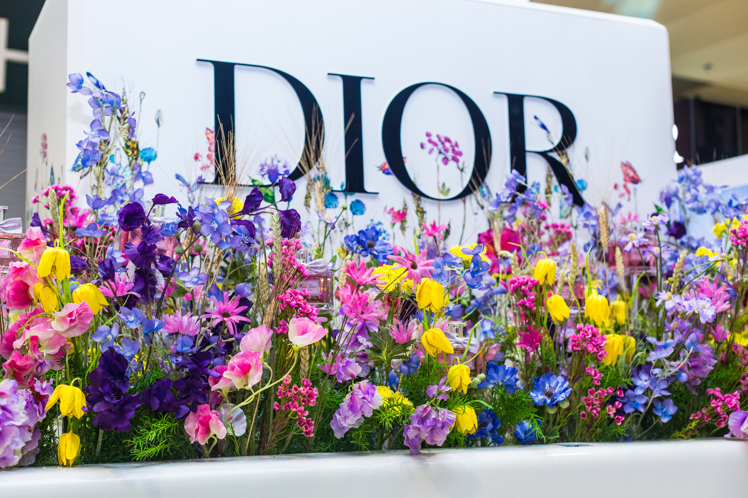 Dior. Виктория Еремина — фотограф и видеограф в Москве