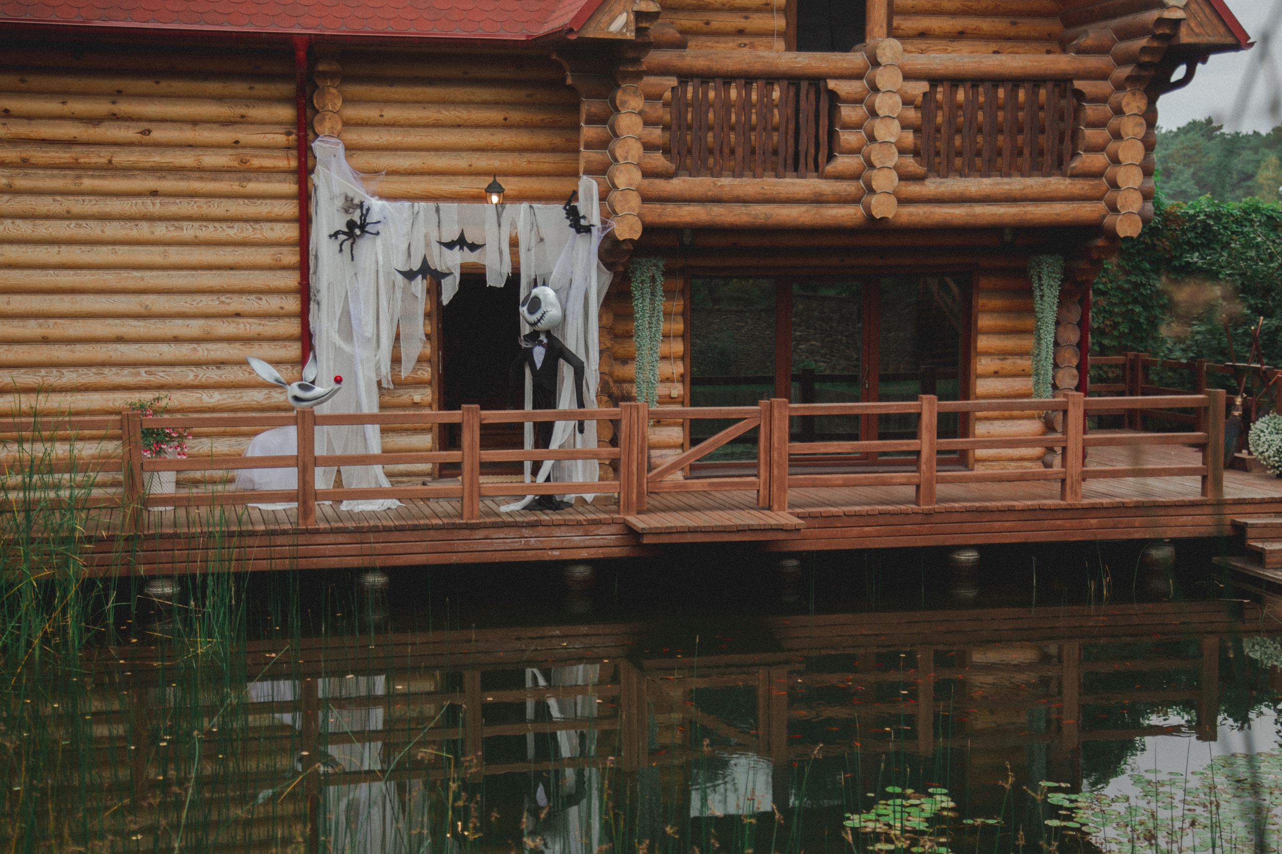 День рождения Ариэль. Виктория Еремина — фотограф и видеограф в Москве
