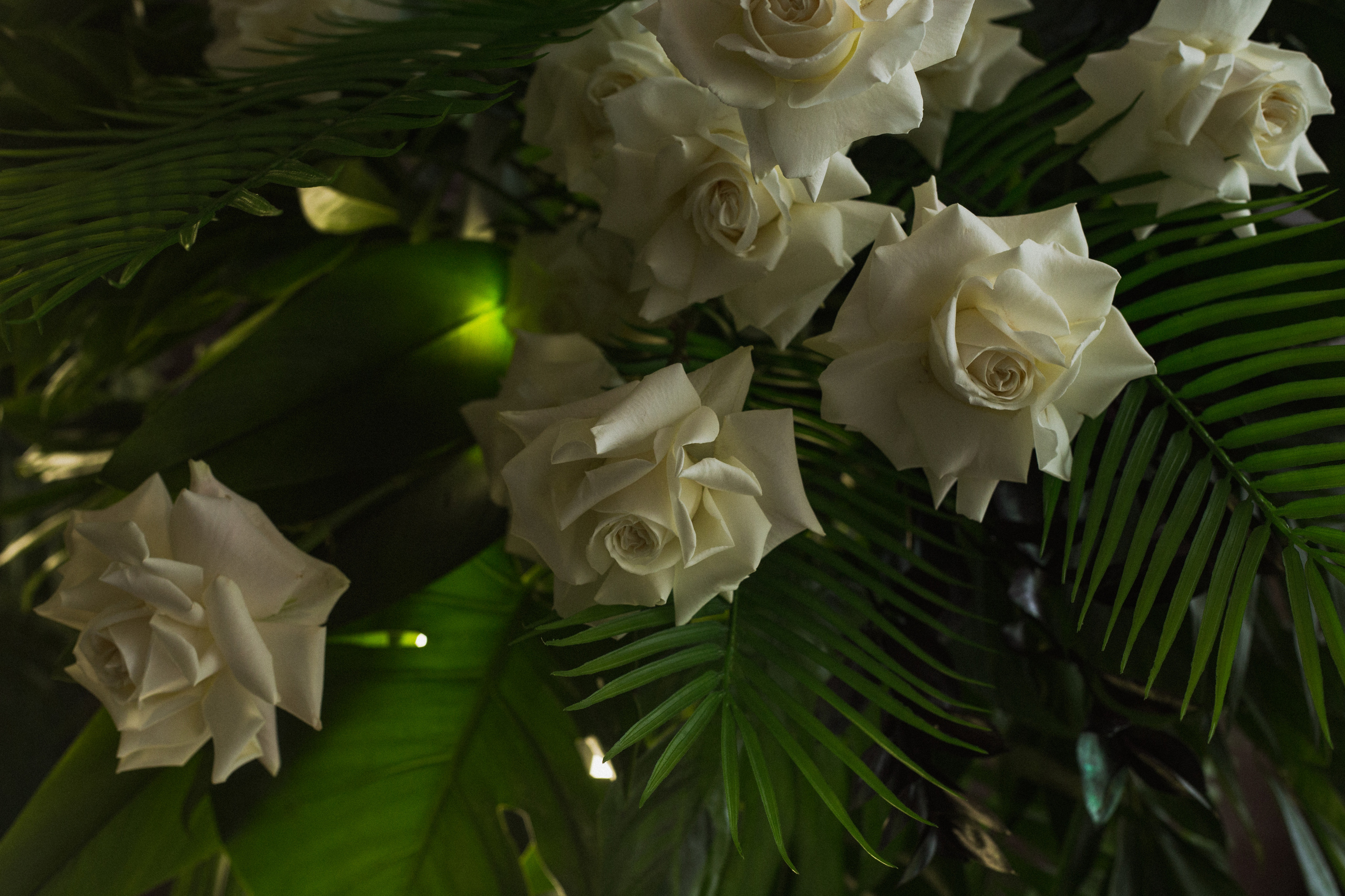 Декор свадьбы. Виктория Еремина — фотограф и видеограф в Москве