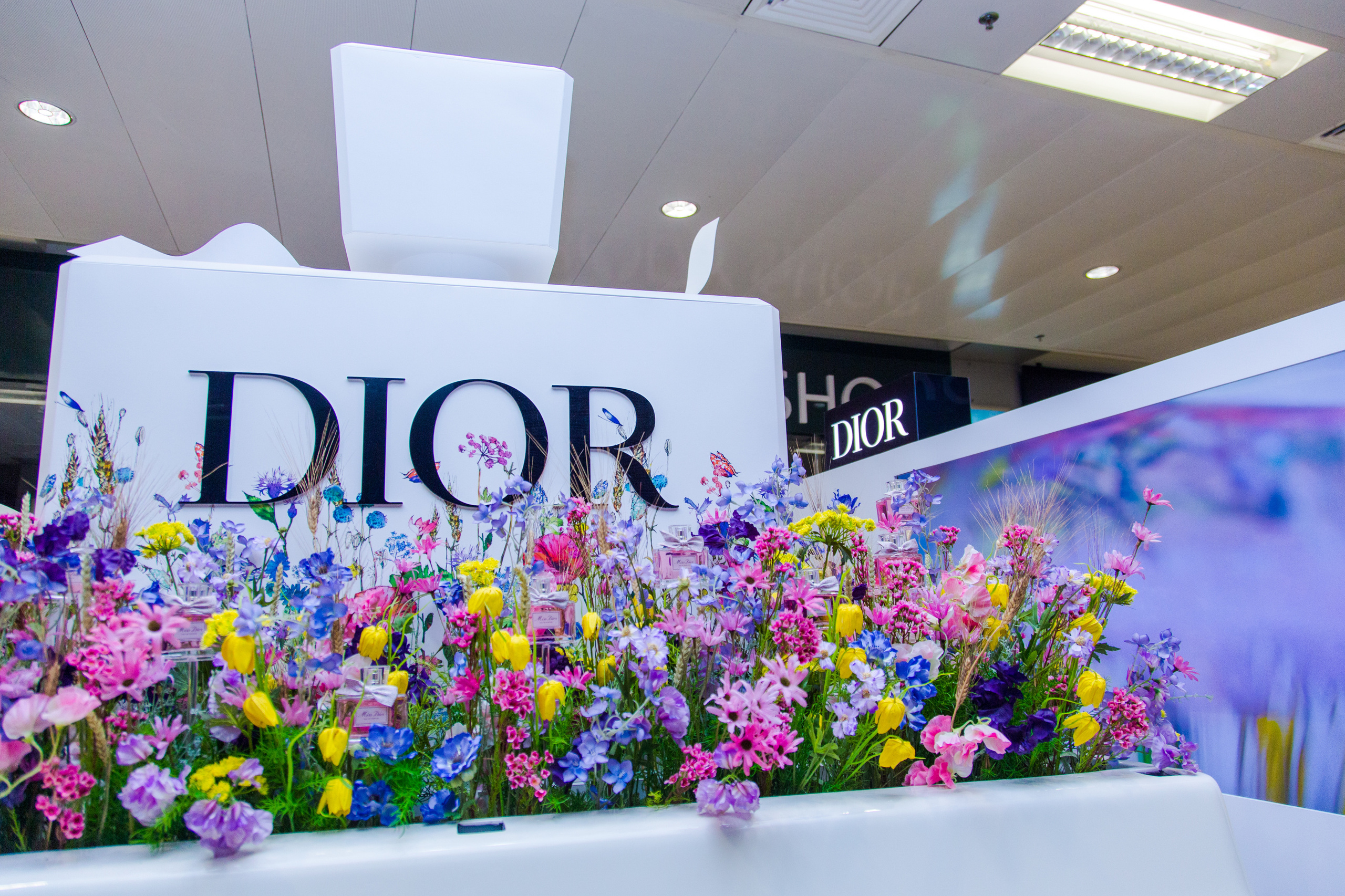 Dior. Виктория Еремина — фотограф и видеограф в Москве