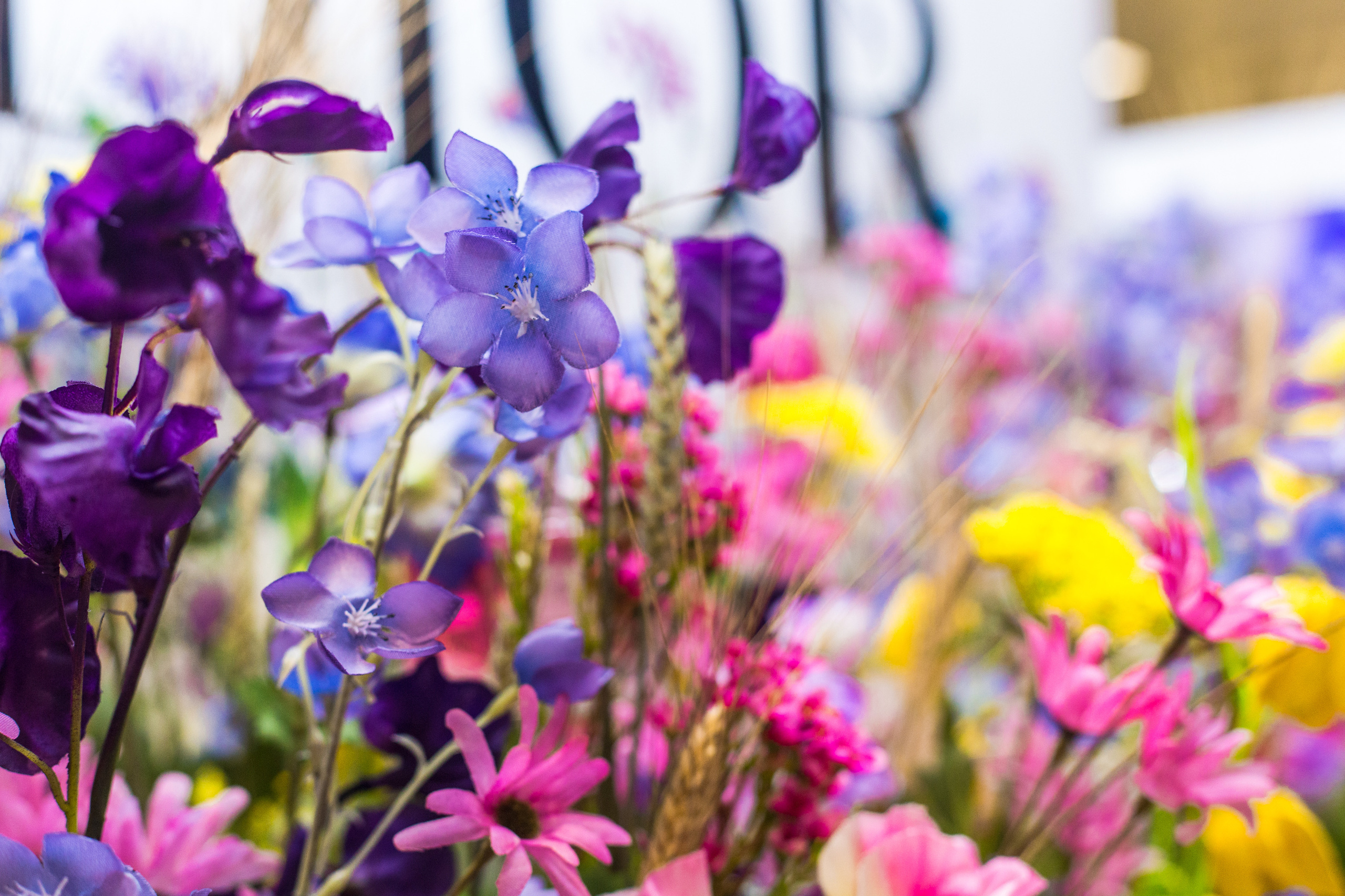 Dior. Виктория Еремина — фотограф и видеограф в Москве