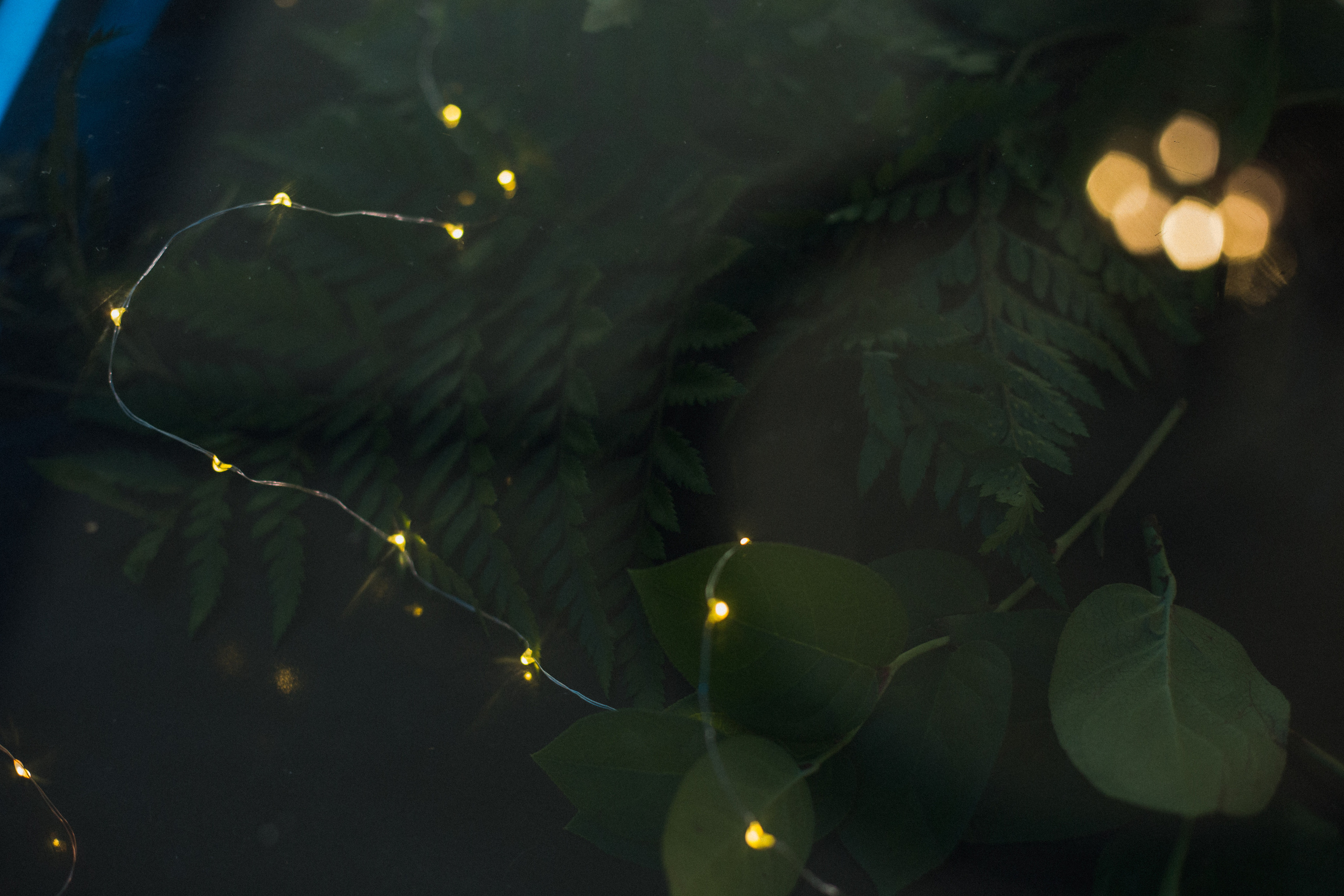 Декор свадьбы. Виктория Еремина — фотограф и видеограф в Москве