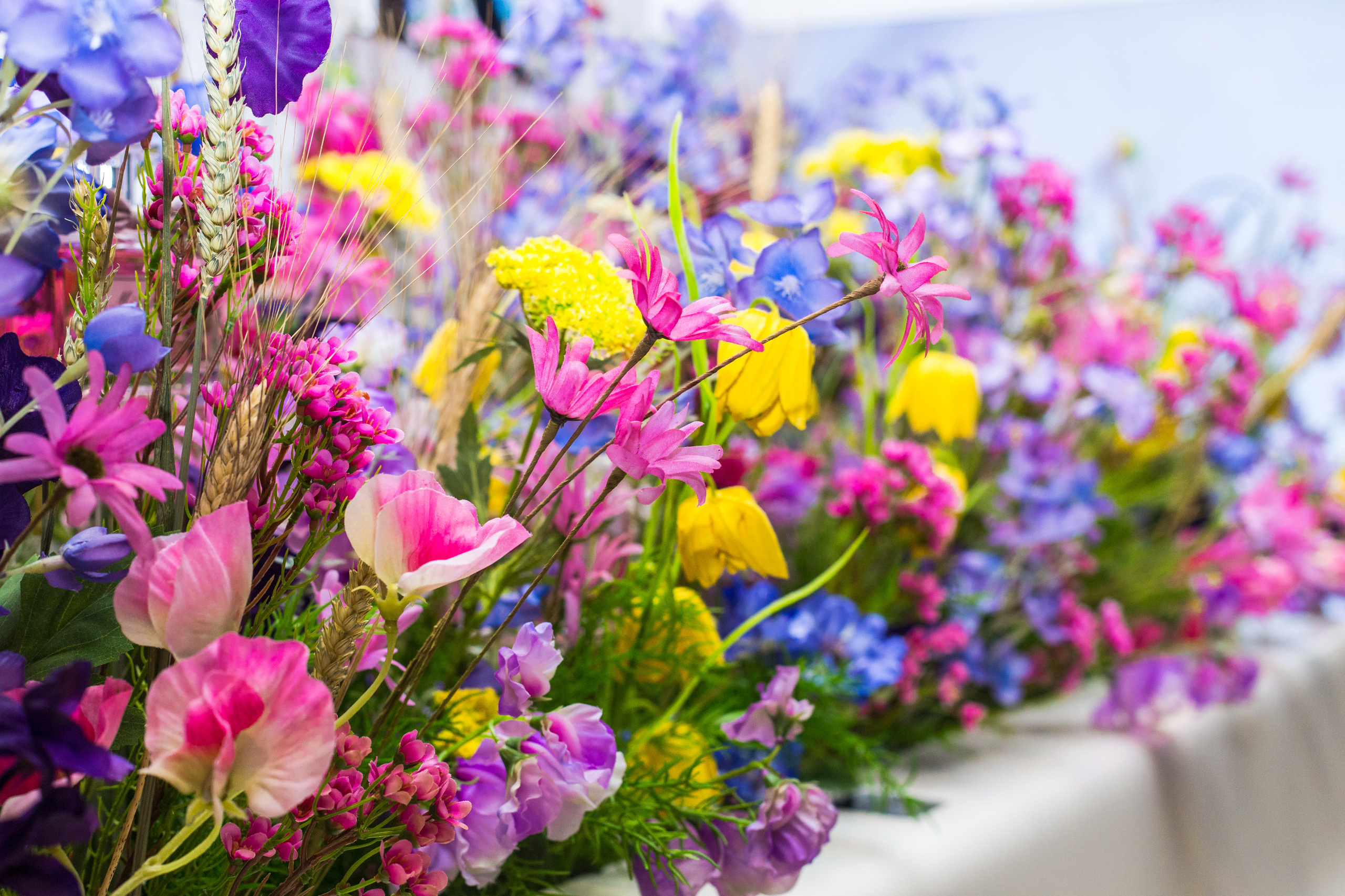 Dior. Виктория Еремина — фотограф и видеограф в Москве