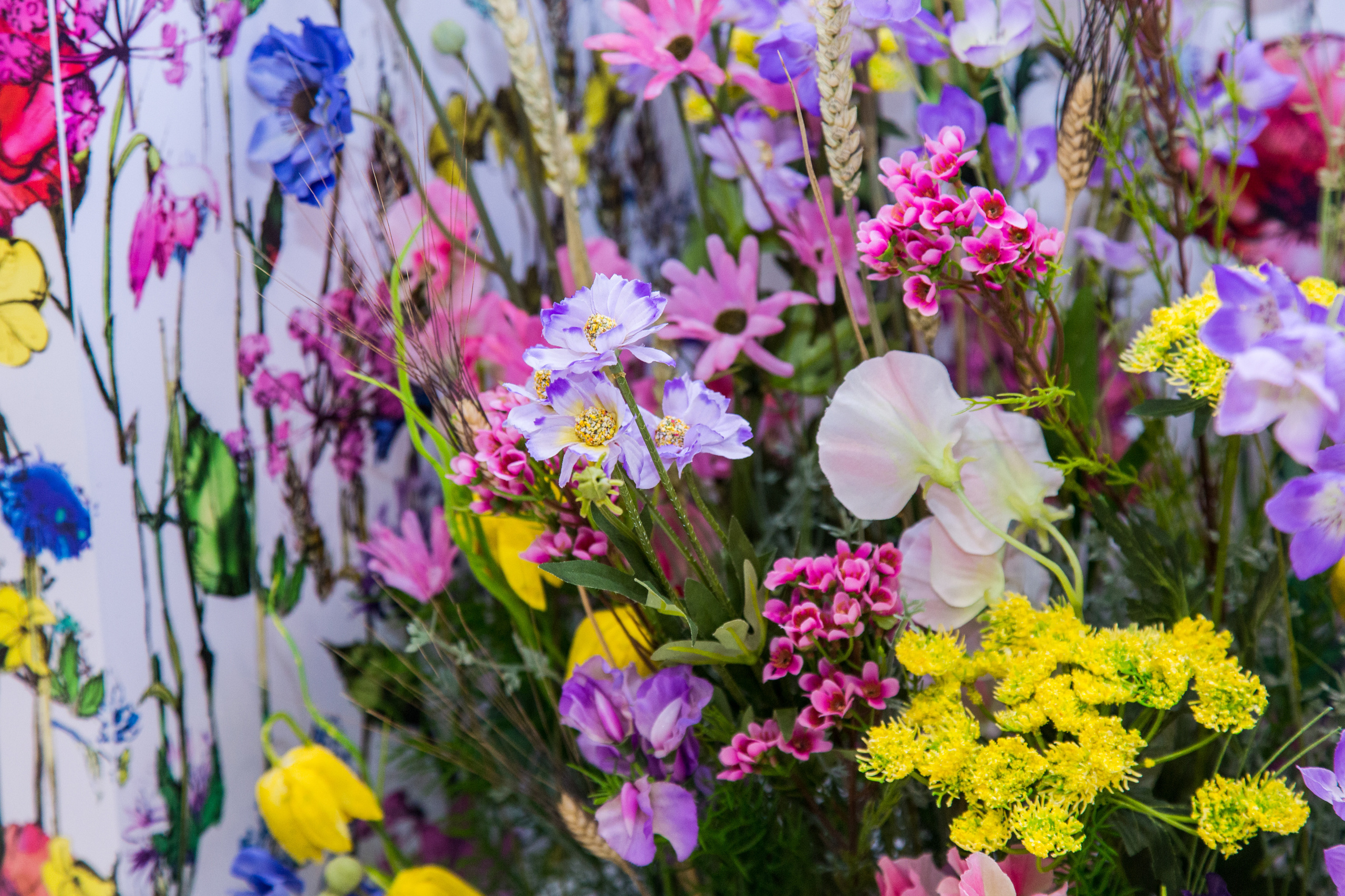 Dior. Виктория Еремина — фотограф и видеограф в Москве