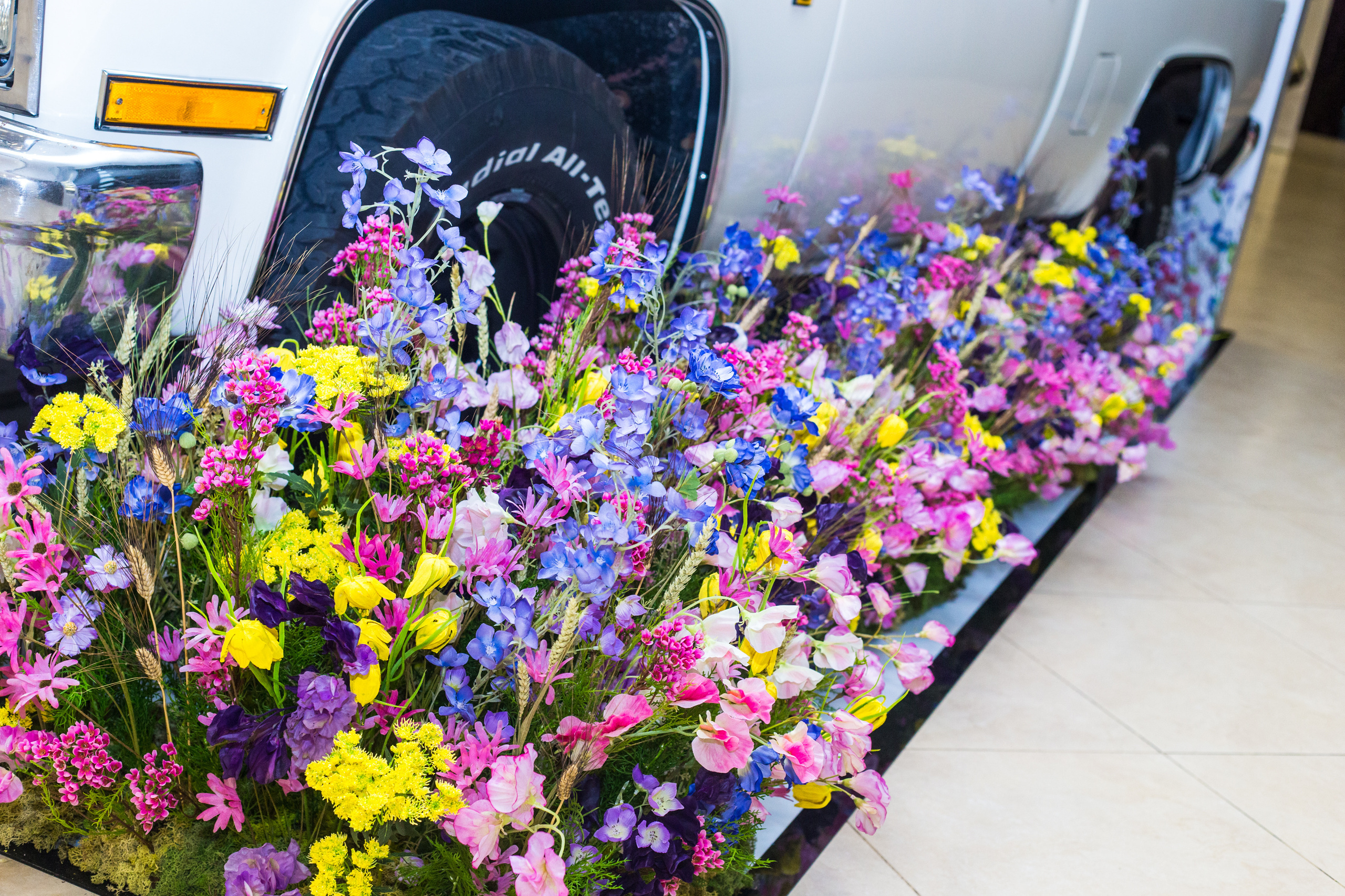 Dior. Виктория Еремина — фотограф и видеограф в Москве