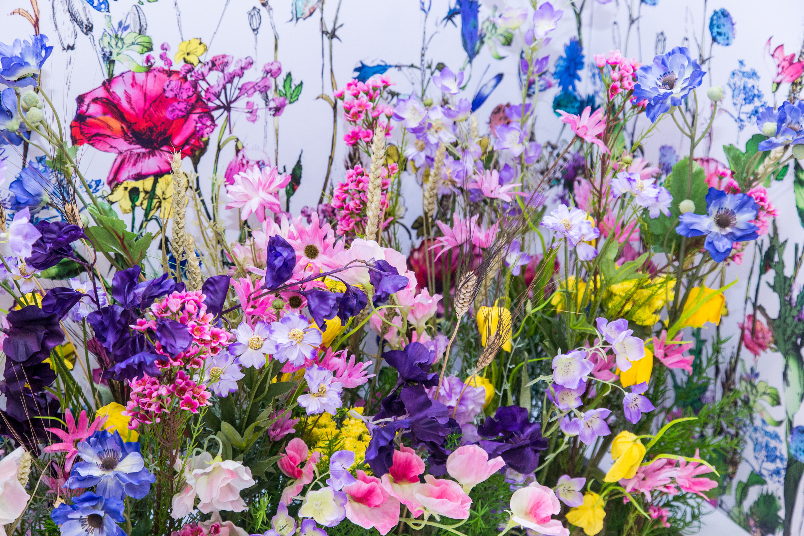 Dior. Виктория Еремина — фотограф и видеограф в Москве