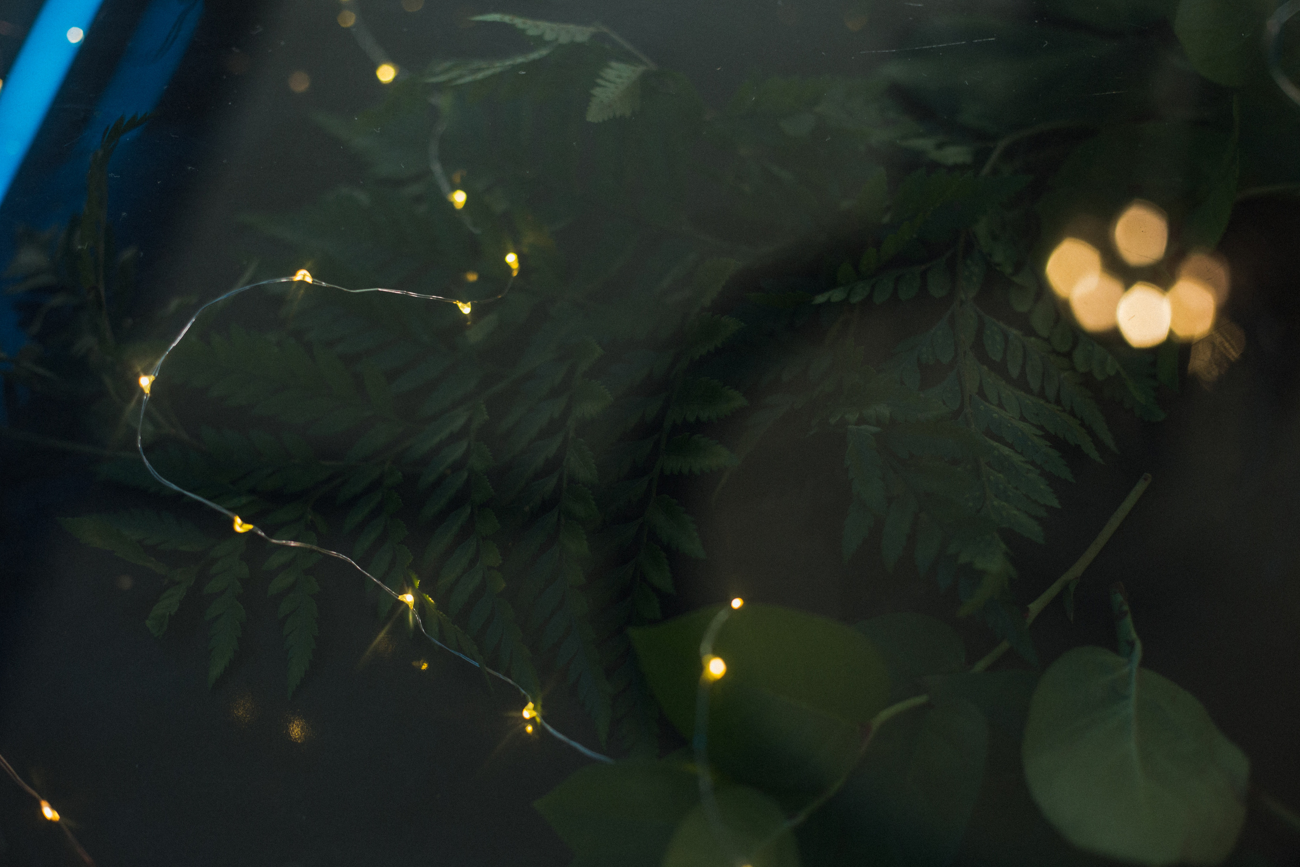 Декор свадьбы. Виктория Еремина — фотограф и видеограф в Москве