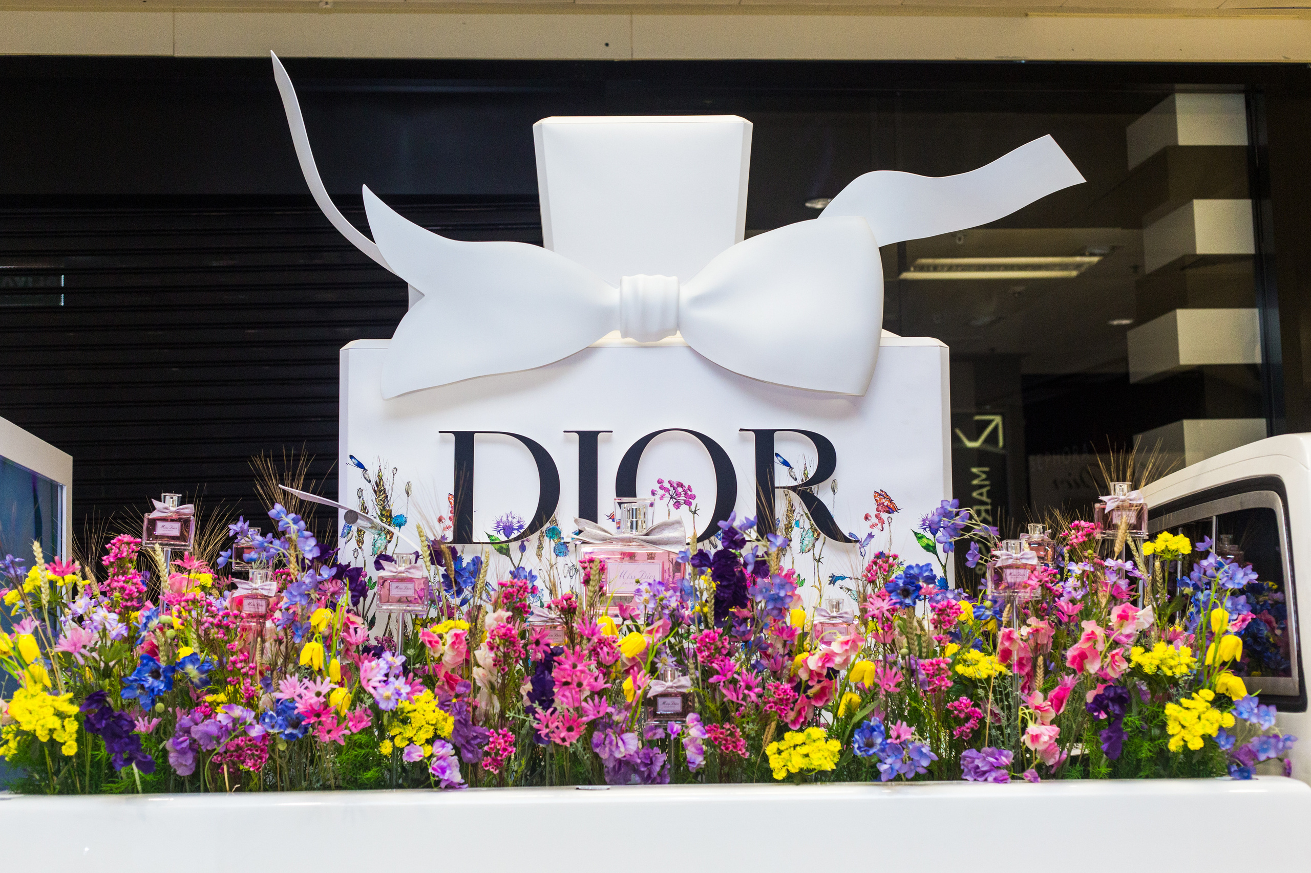 Dior. Виктория Еремина — фотограф и видеограф в Москве