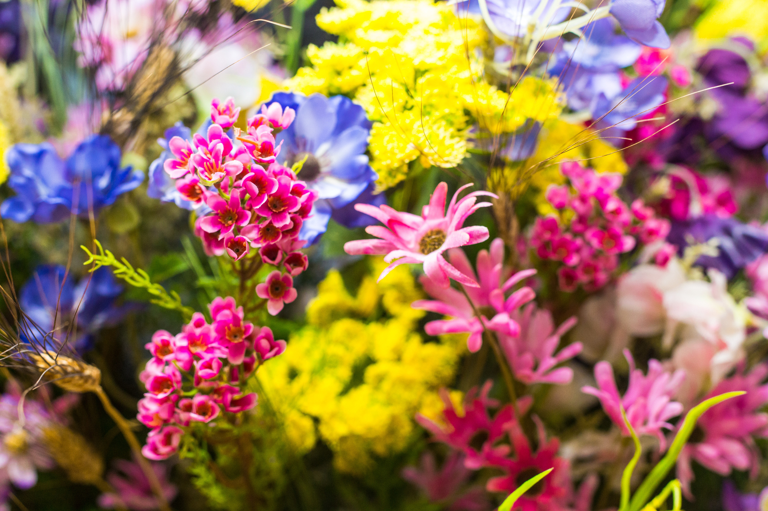 Dior. Виктория Еремина — фотограф и видеограф в Москве