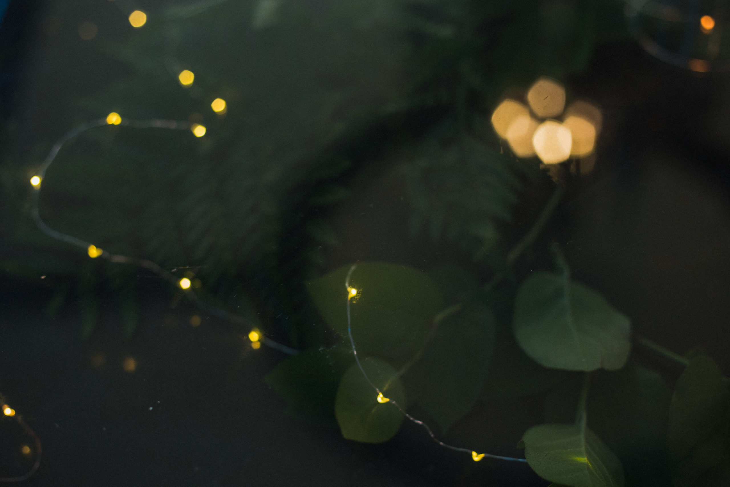 Декор свадьбы. Виктория Еремина — фотограф и видеограф в Москве