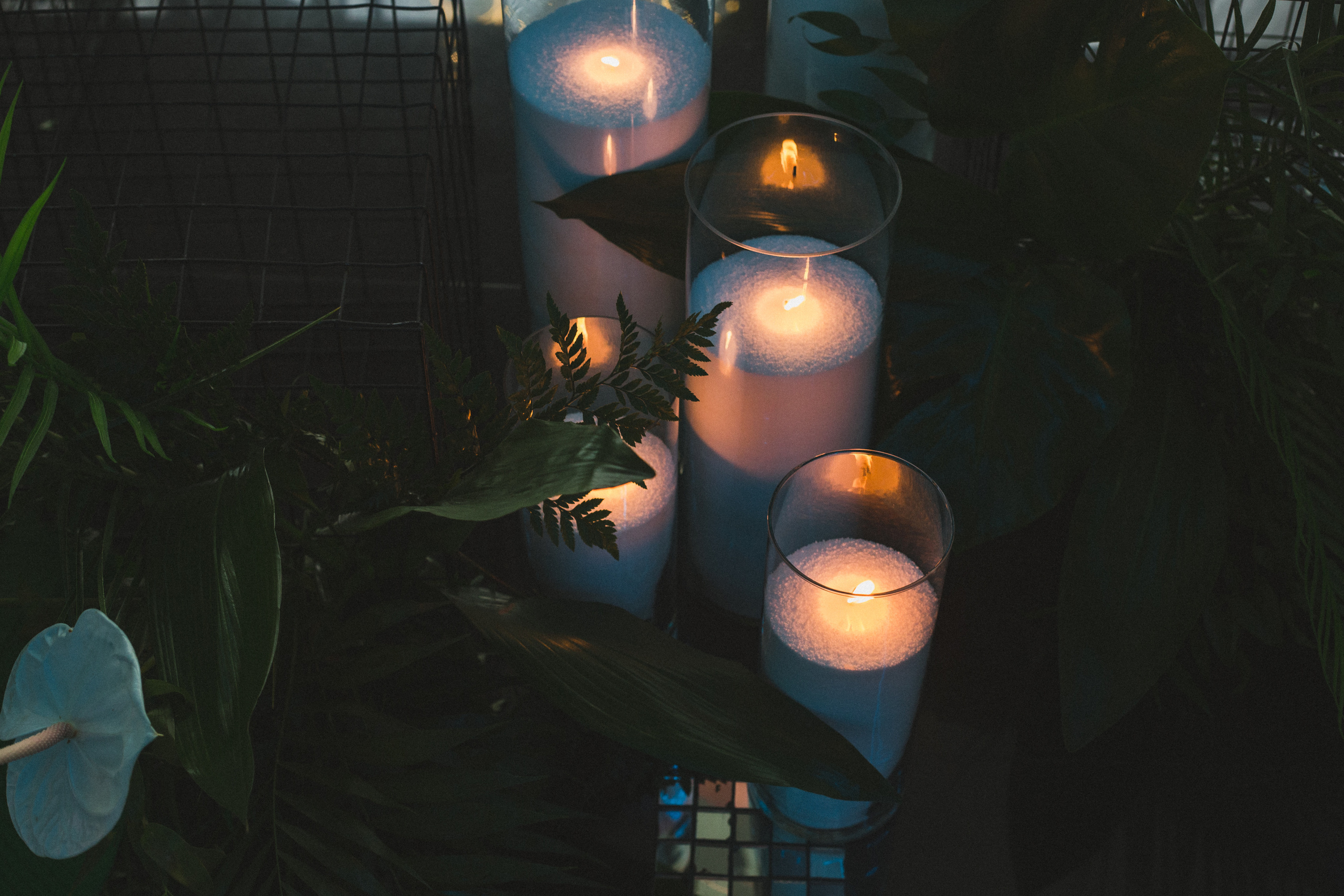 Декор свадьбы. Виктория Еремина — фотограф и видеограф в Москве