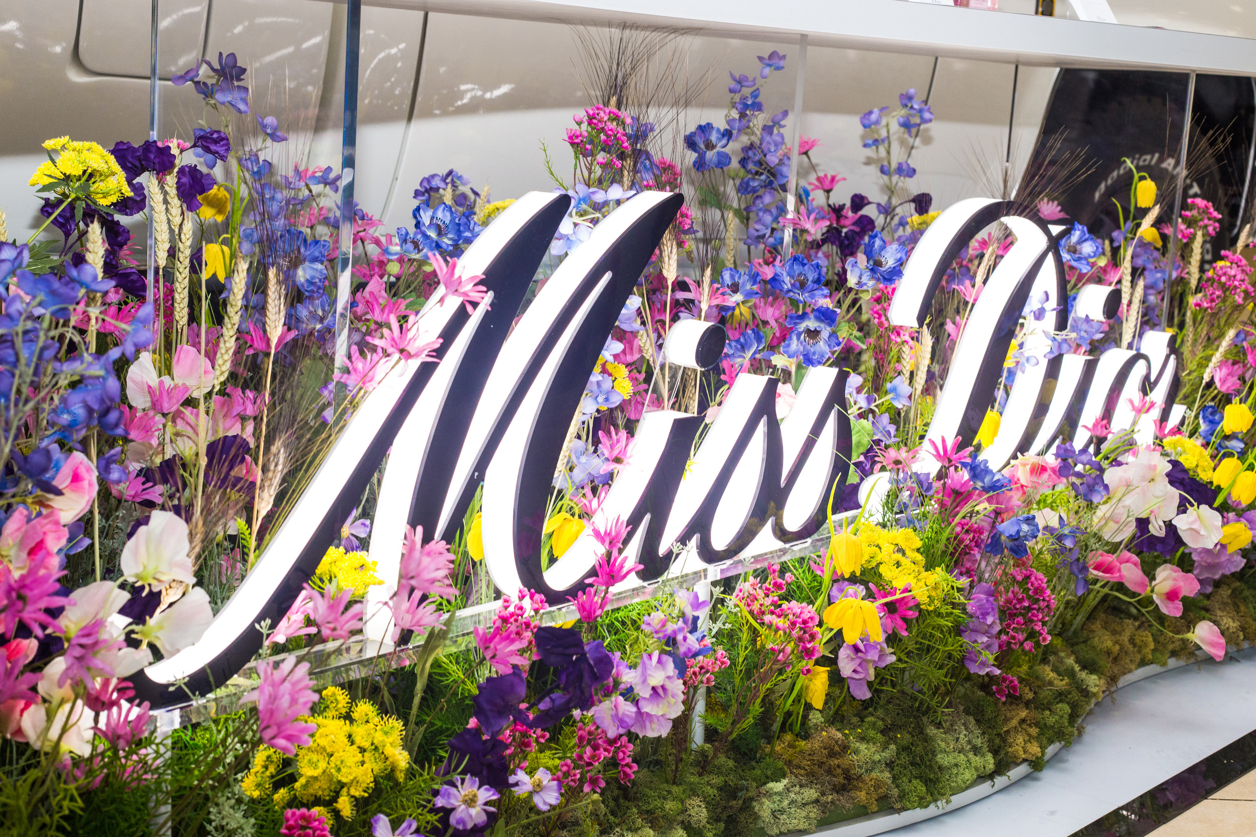 Dior. Виктория Еремина — фотограф и видеограф в Москве