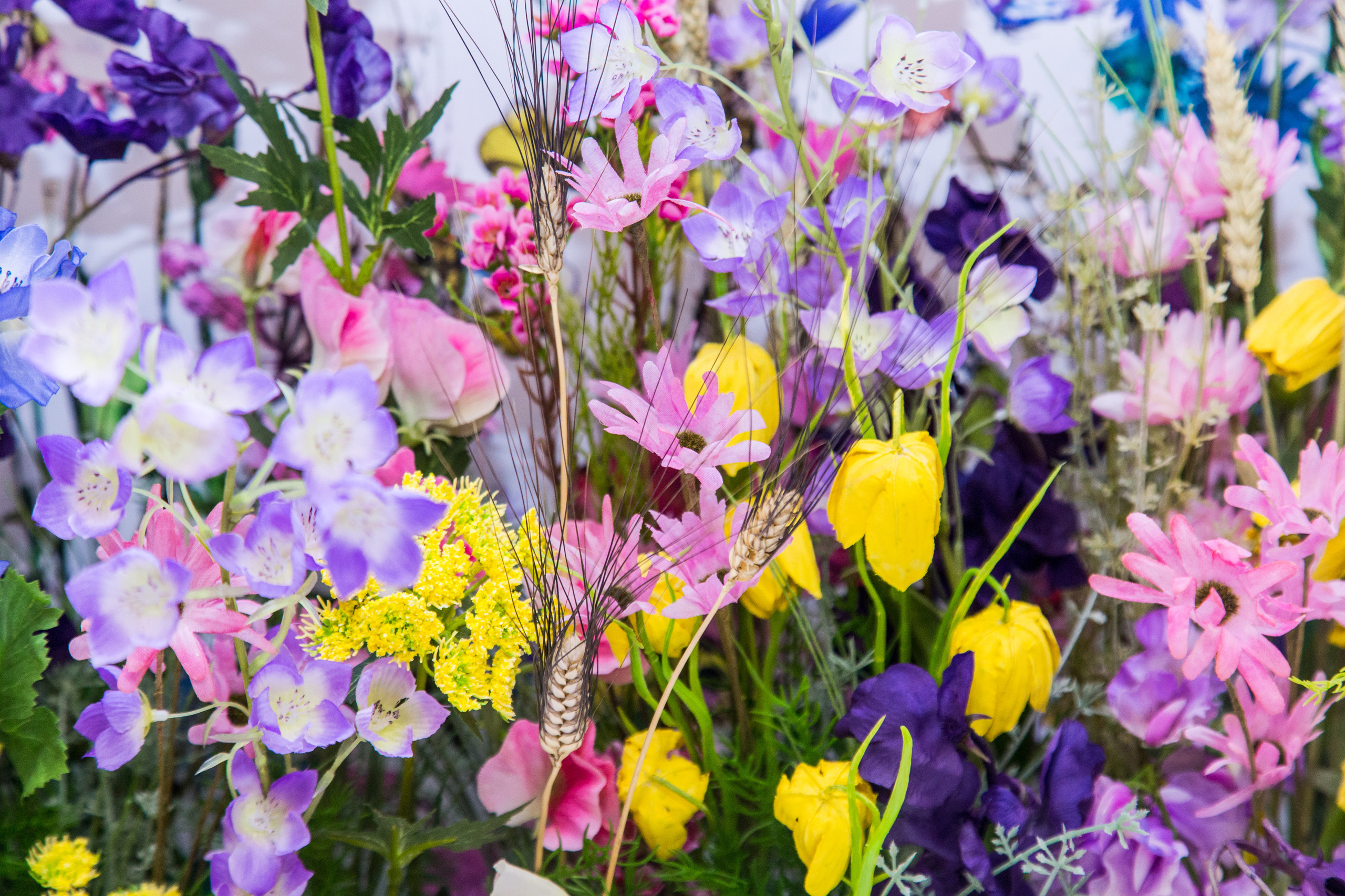 Dior. Виктория Еремина — фотограф и видеограф в Москве