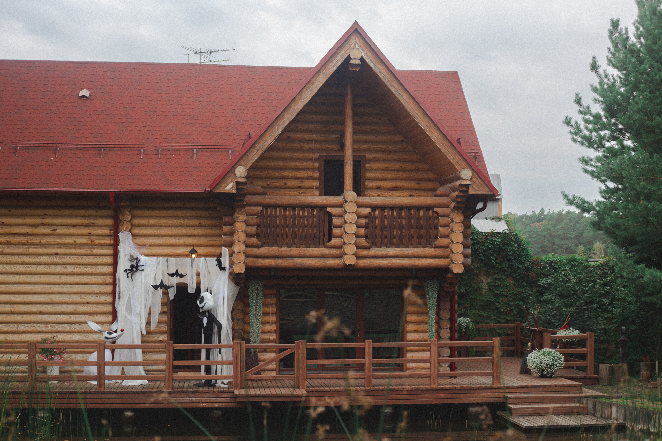 День рождения Ариэль. Виктория Еремина — фотограф и видеограф в Москве