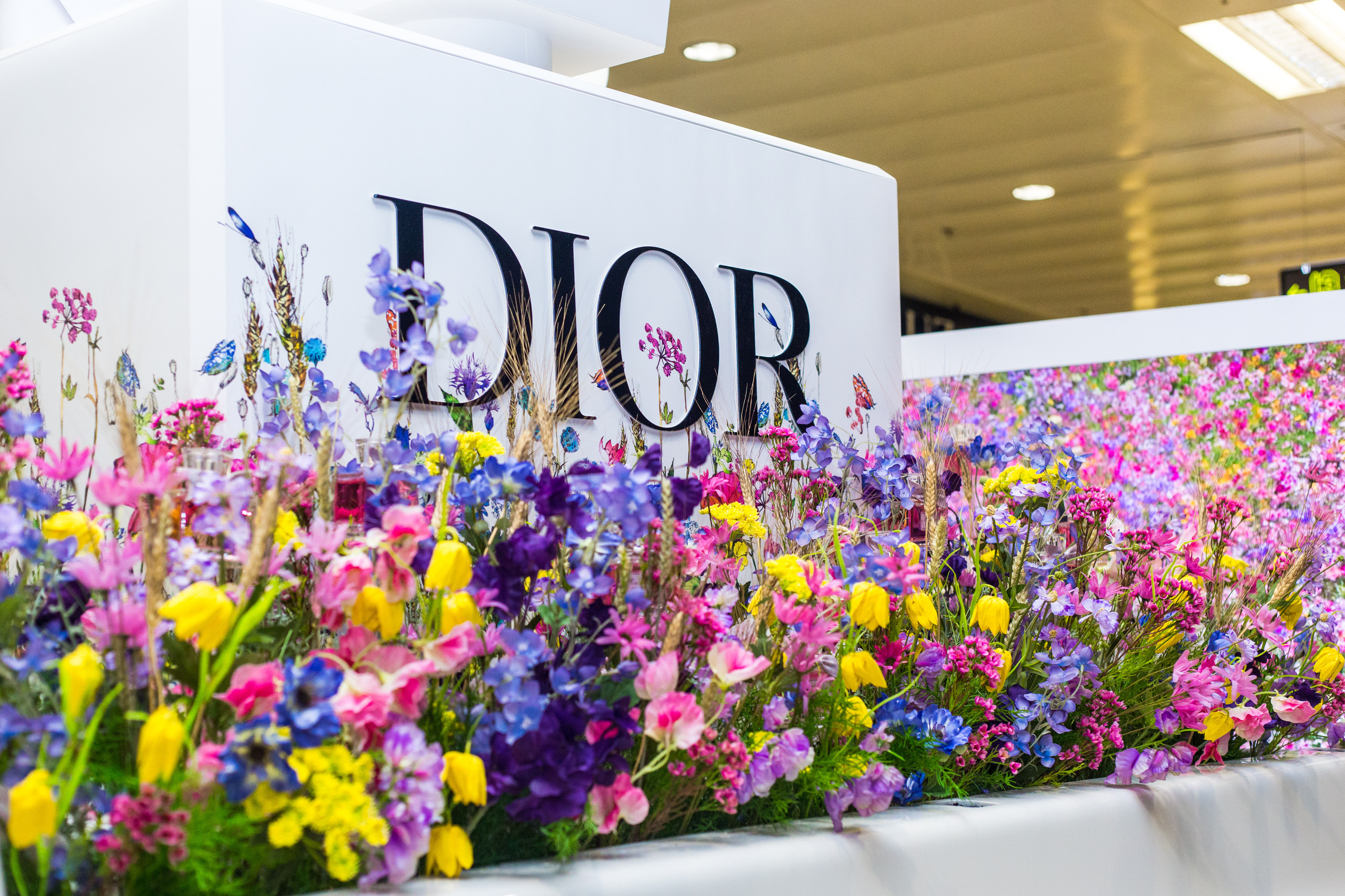 Dior. Виктория Еремина — фотограф и видеограф в Москве